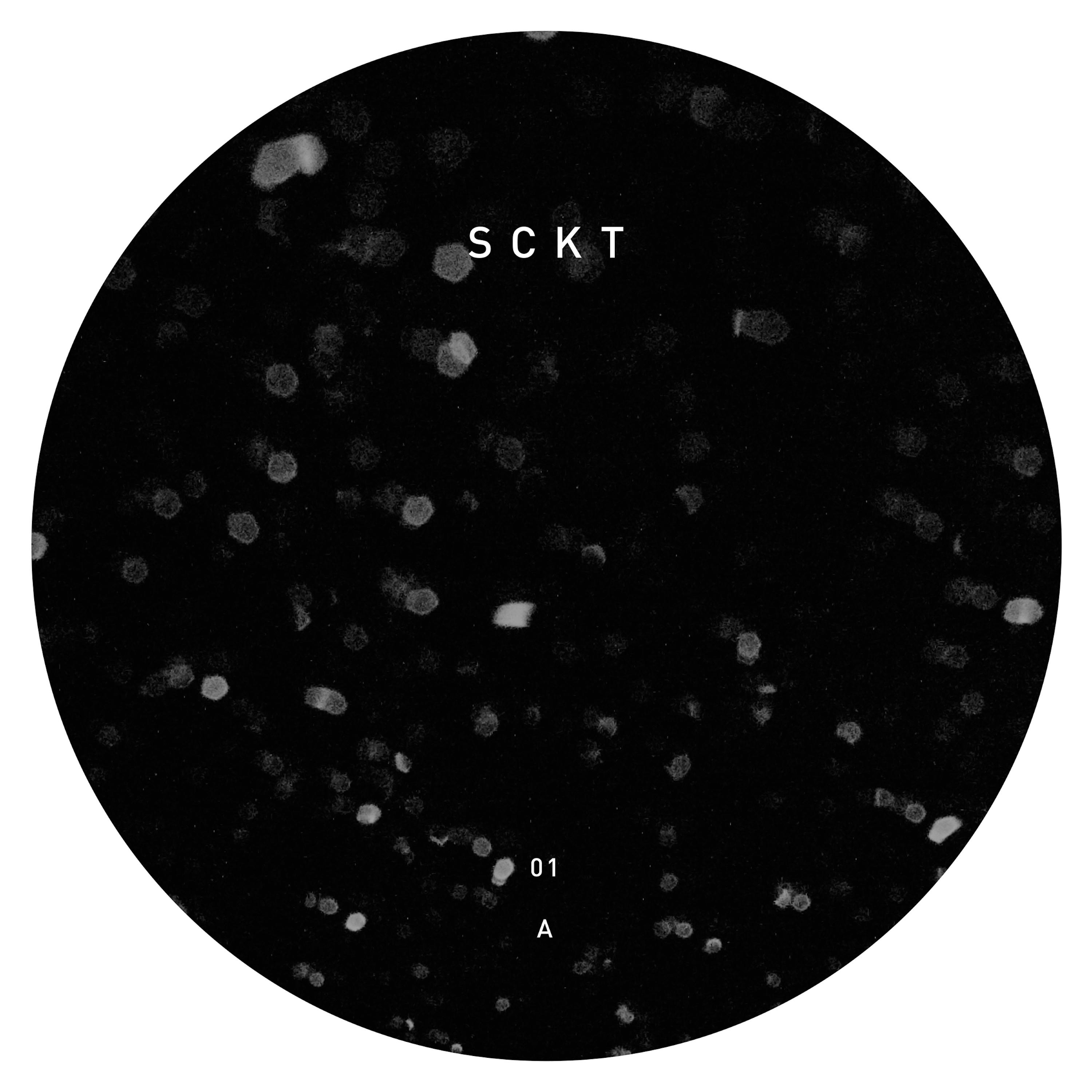 SCKT01