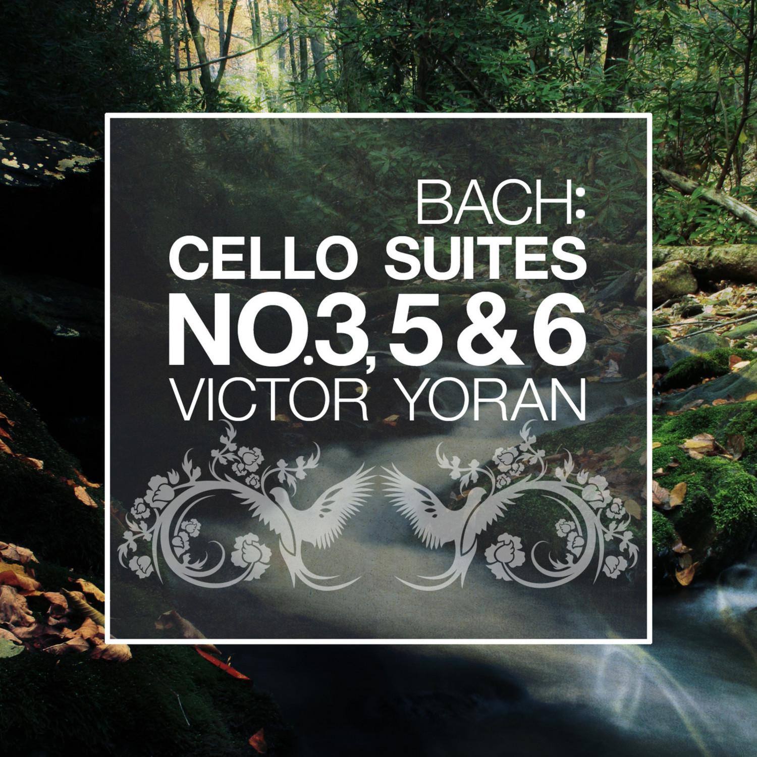 Bach: Cello Suites No. 3, 5 and 6