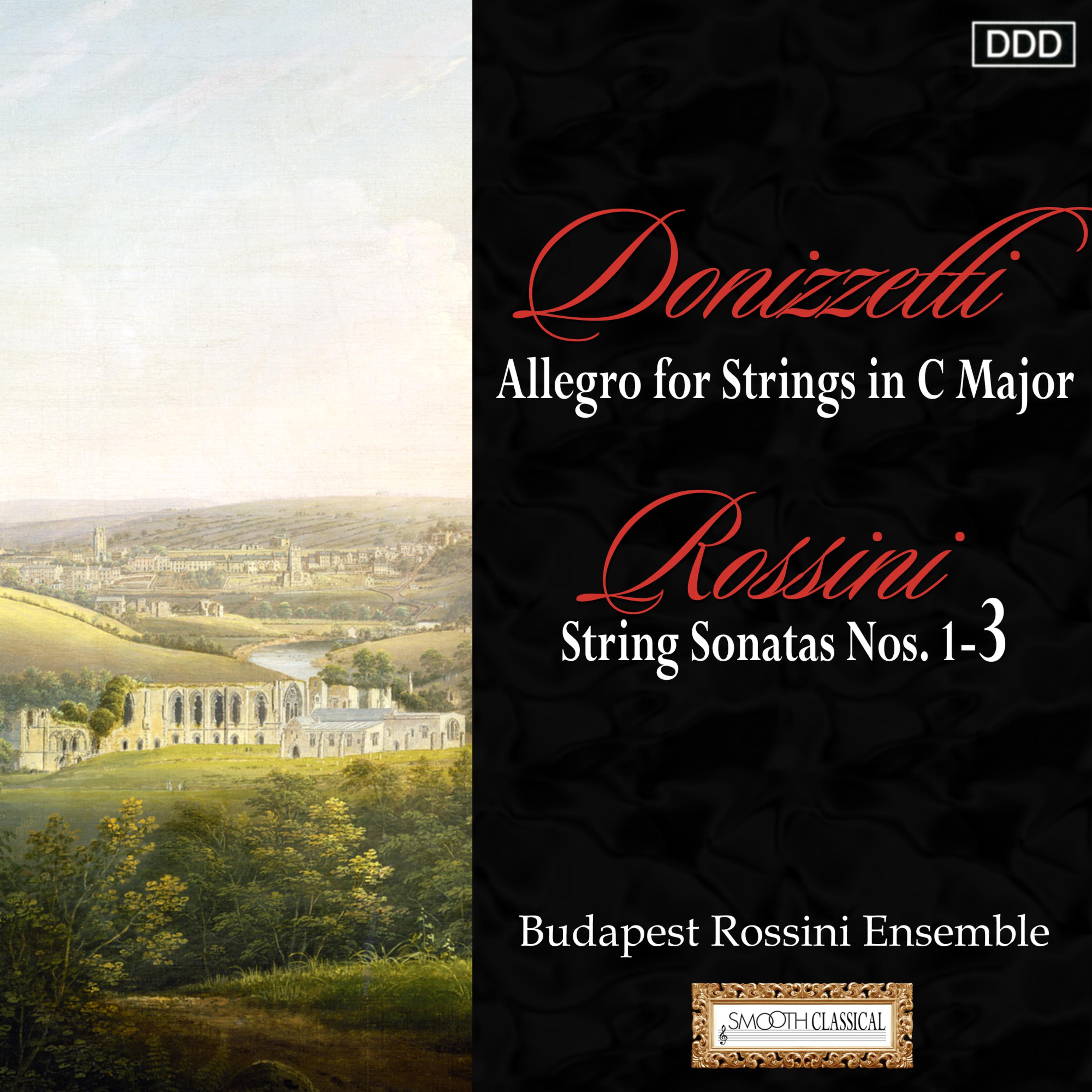 Sonata for Strings No. 2 in A Major: II. Andante