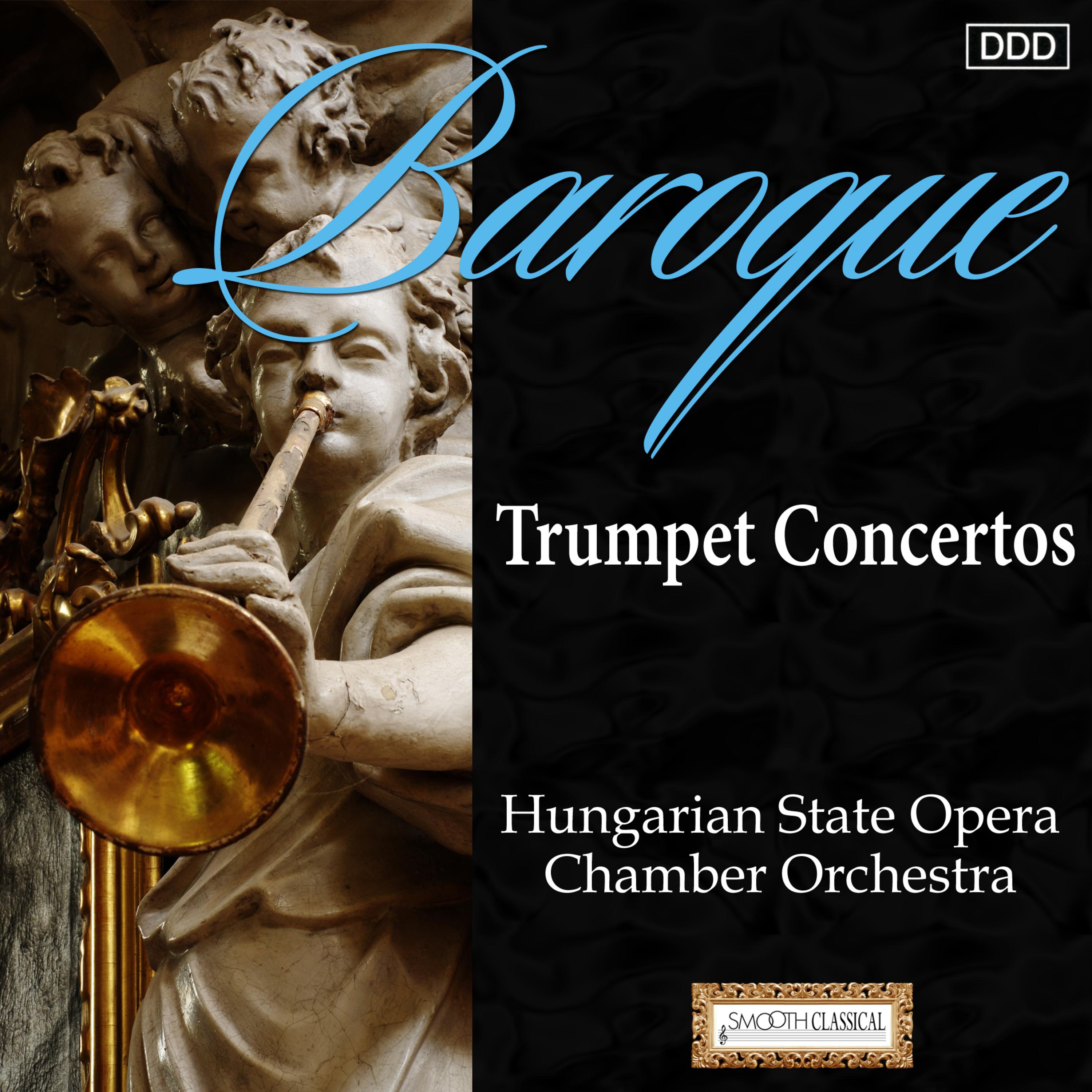 Trumpet Concerto in D Major, G. 28: II. Grave - Allegro - Adagio