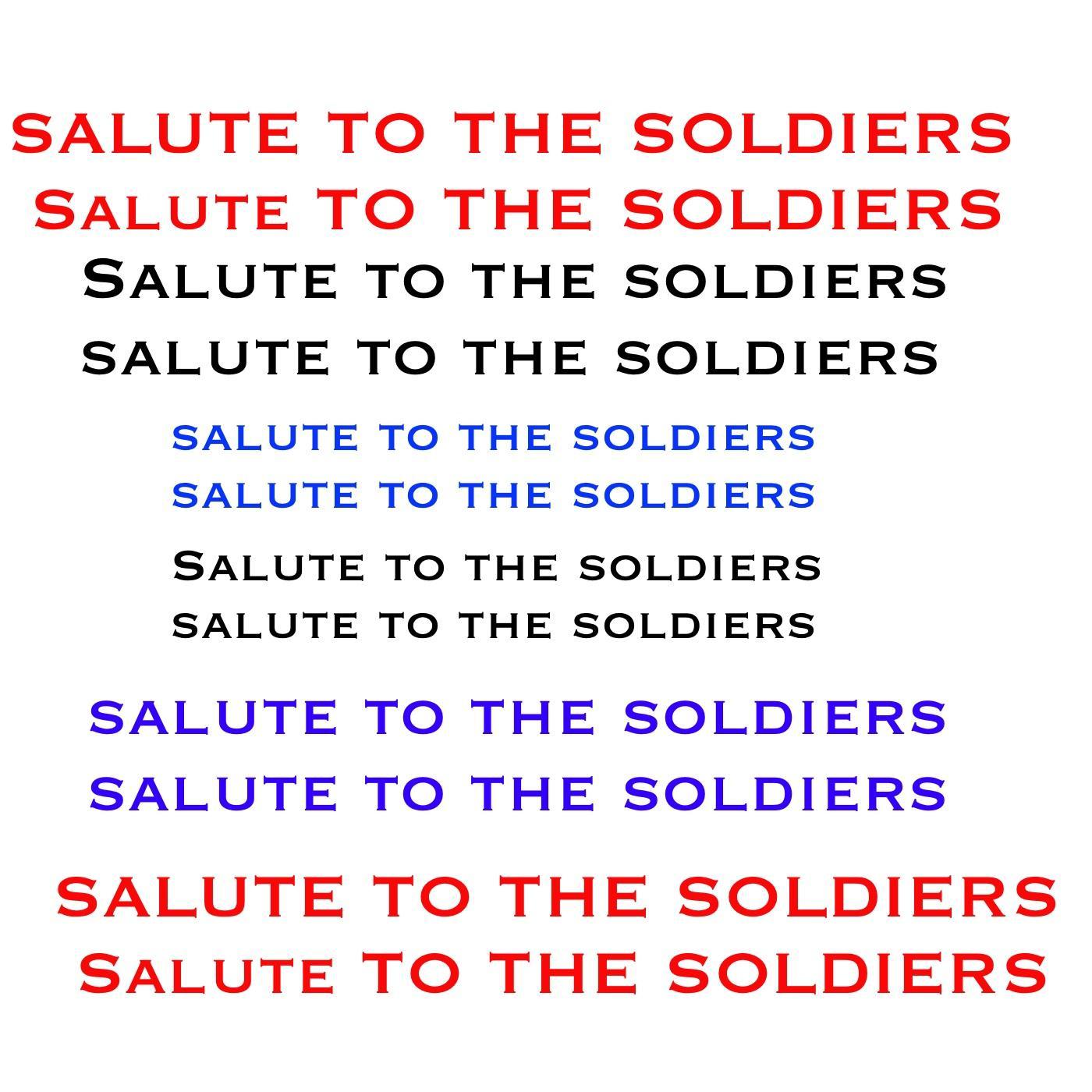 Salute to the Soldiers