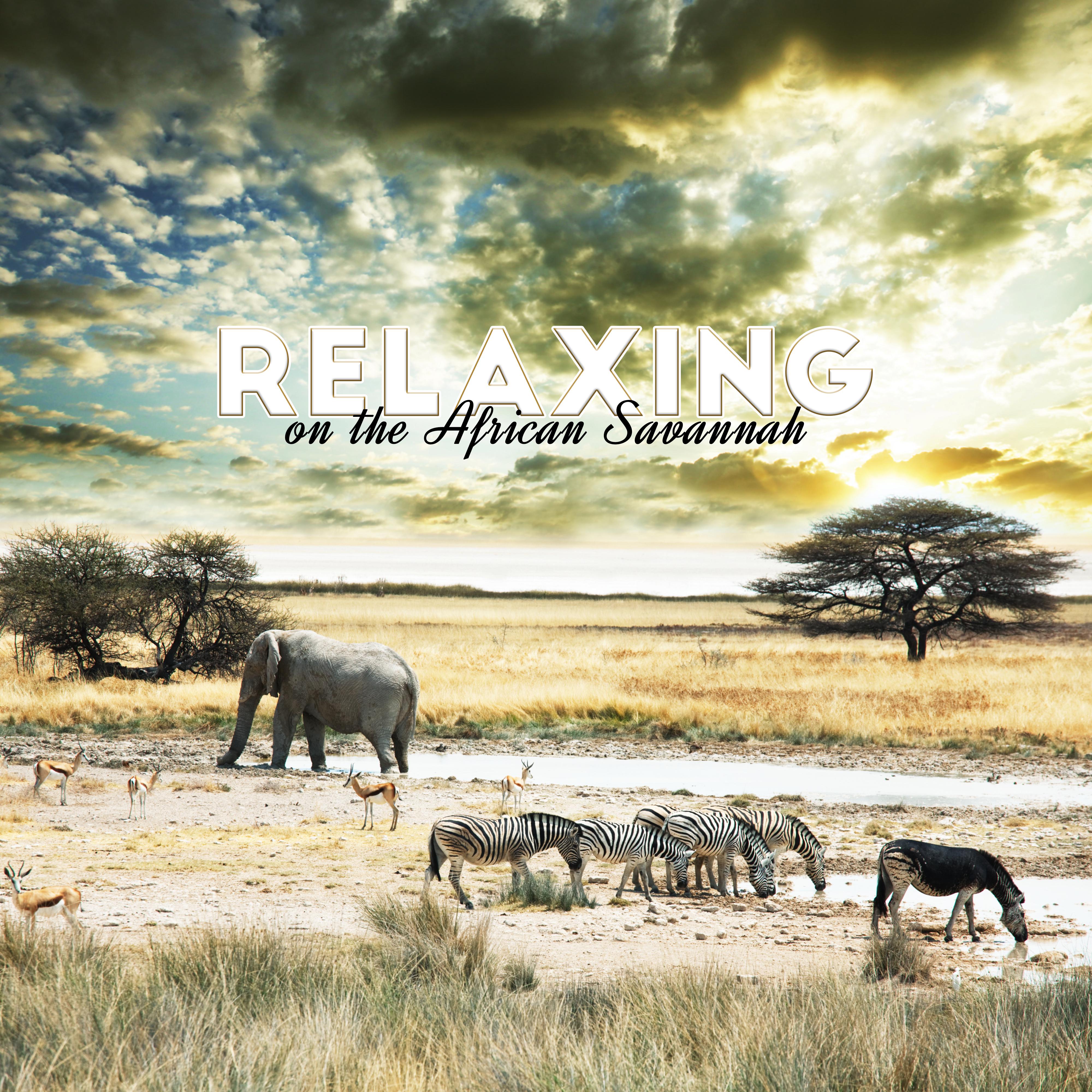 Relaxing on the African Savannah: New Age 2019 African Relax Music, Wild & Nature Shamanic Sounds, Local Instruments, Sahara Sunset Drums