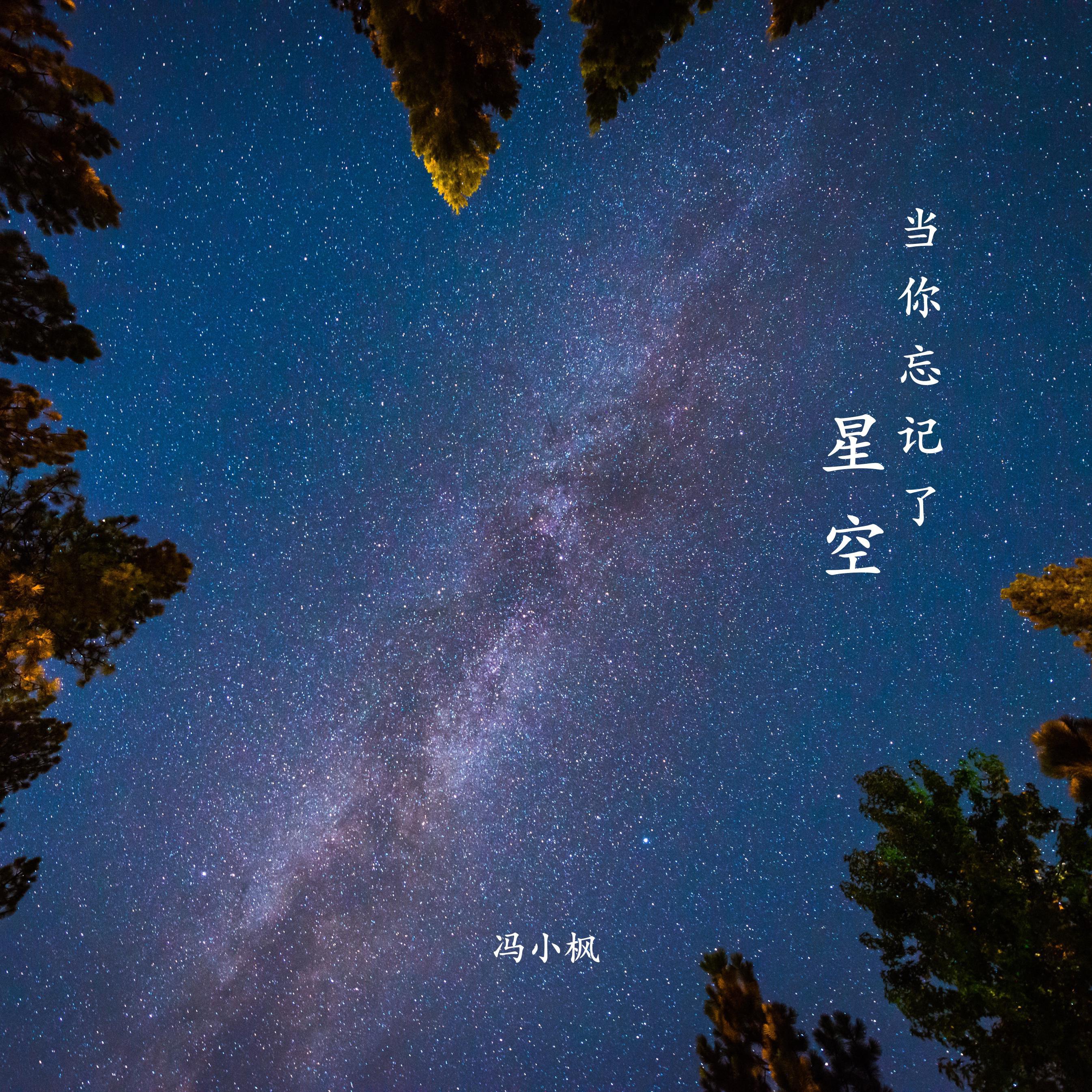 当你忘记了星空