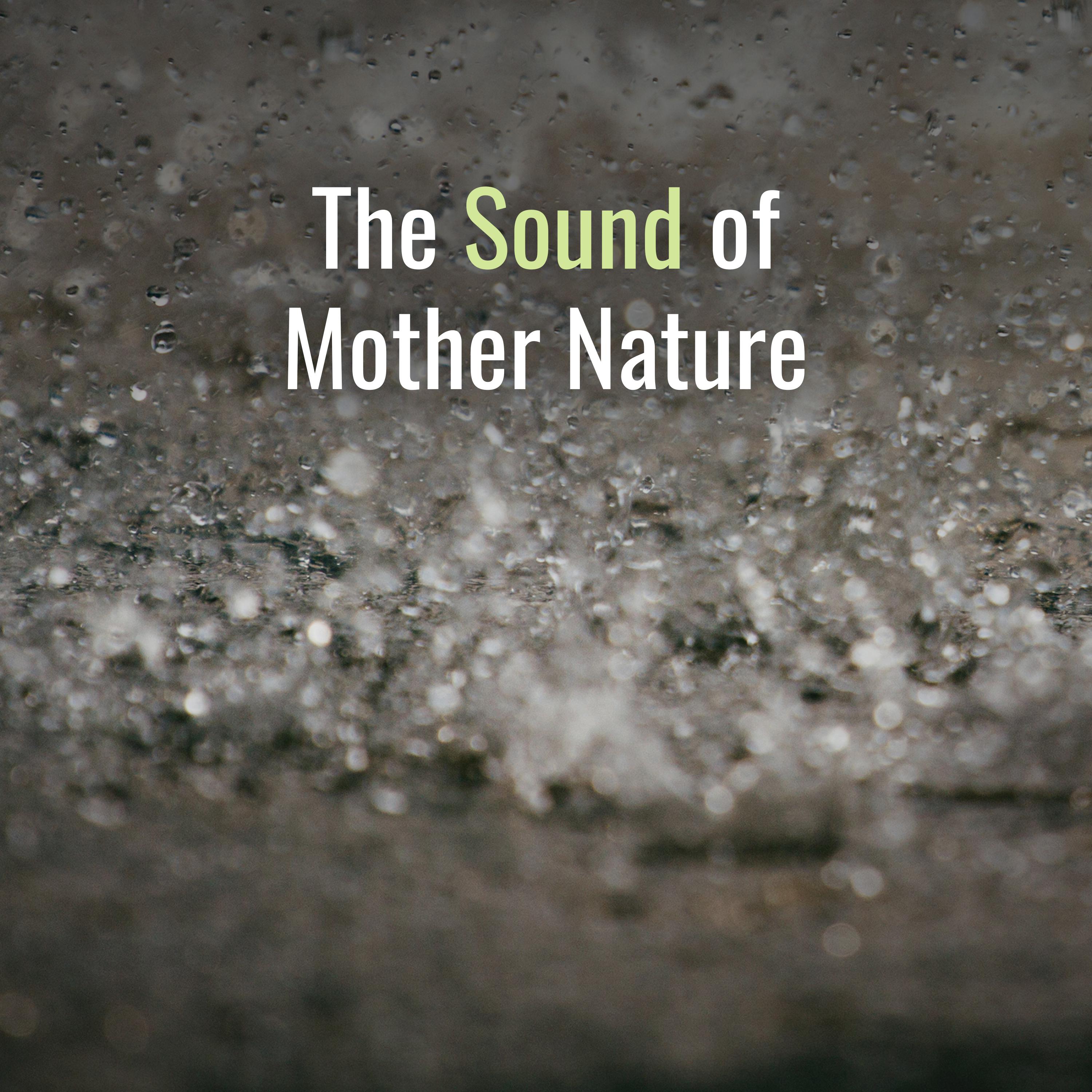 The Sound of Mother Nature