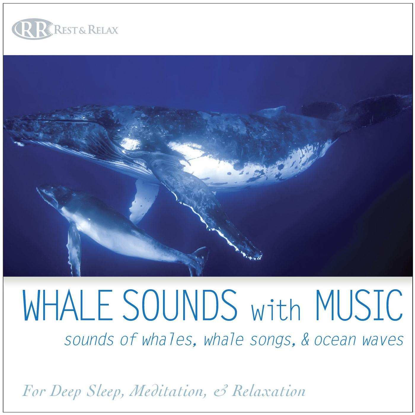 Underwater Whale Sounds for Deep Sleep
