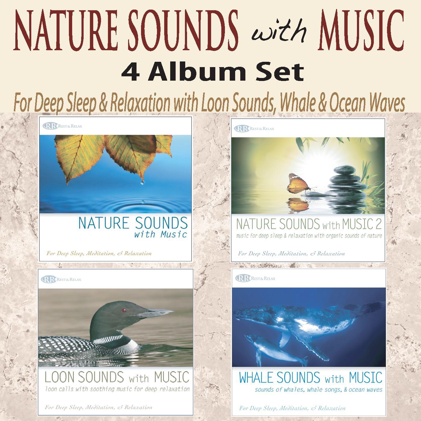 Calming Rain With Piano Whispers