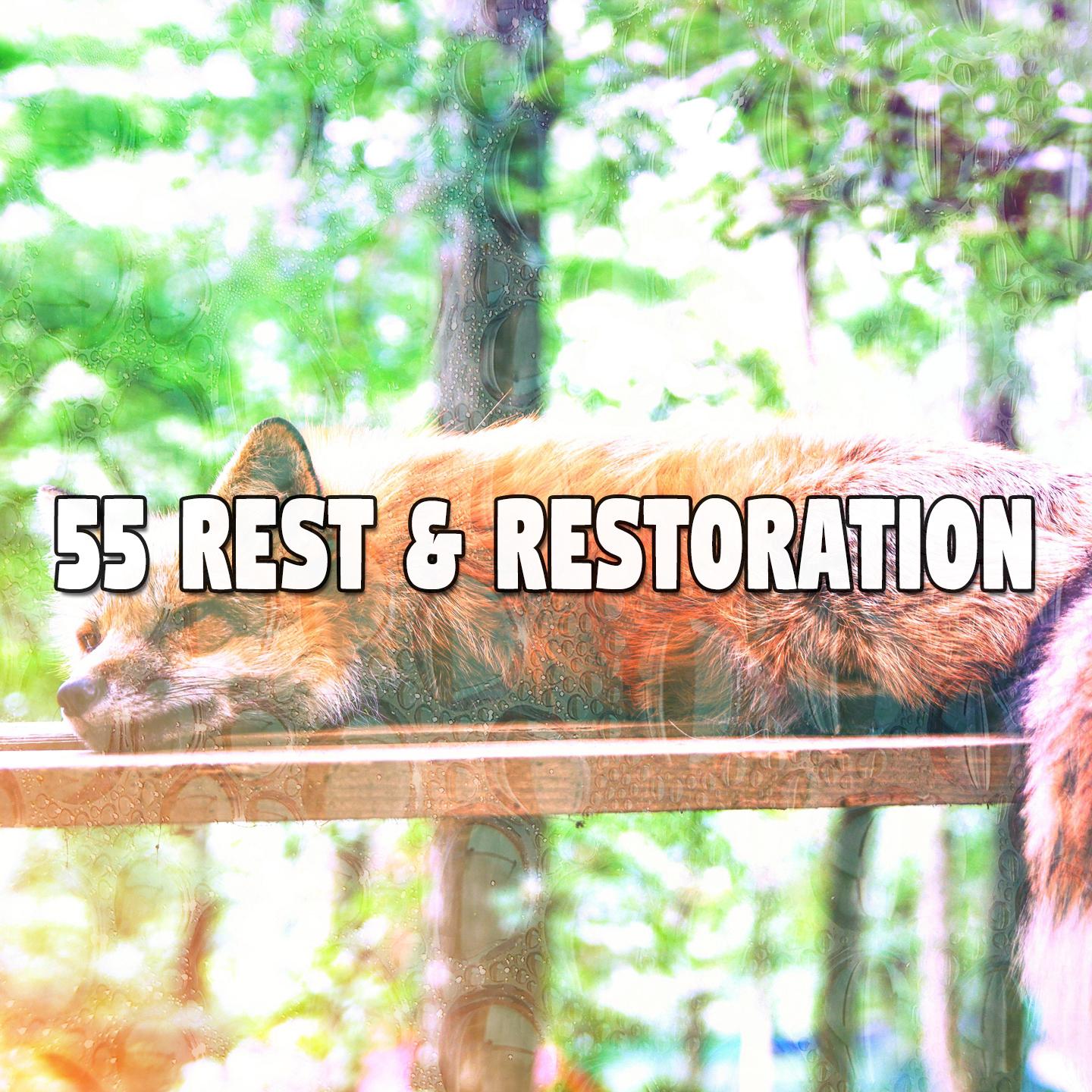 55 Rest & Restoration
