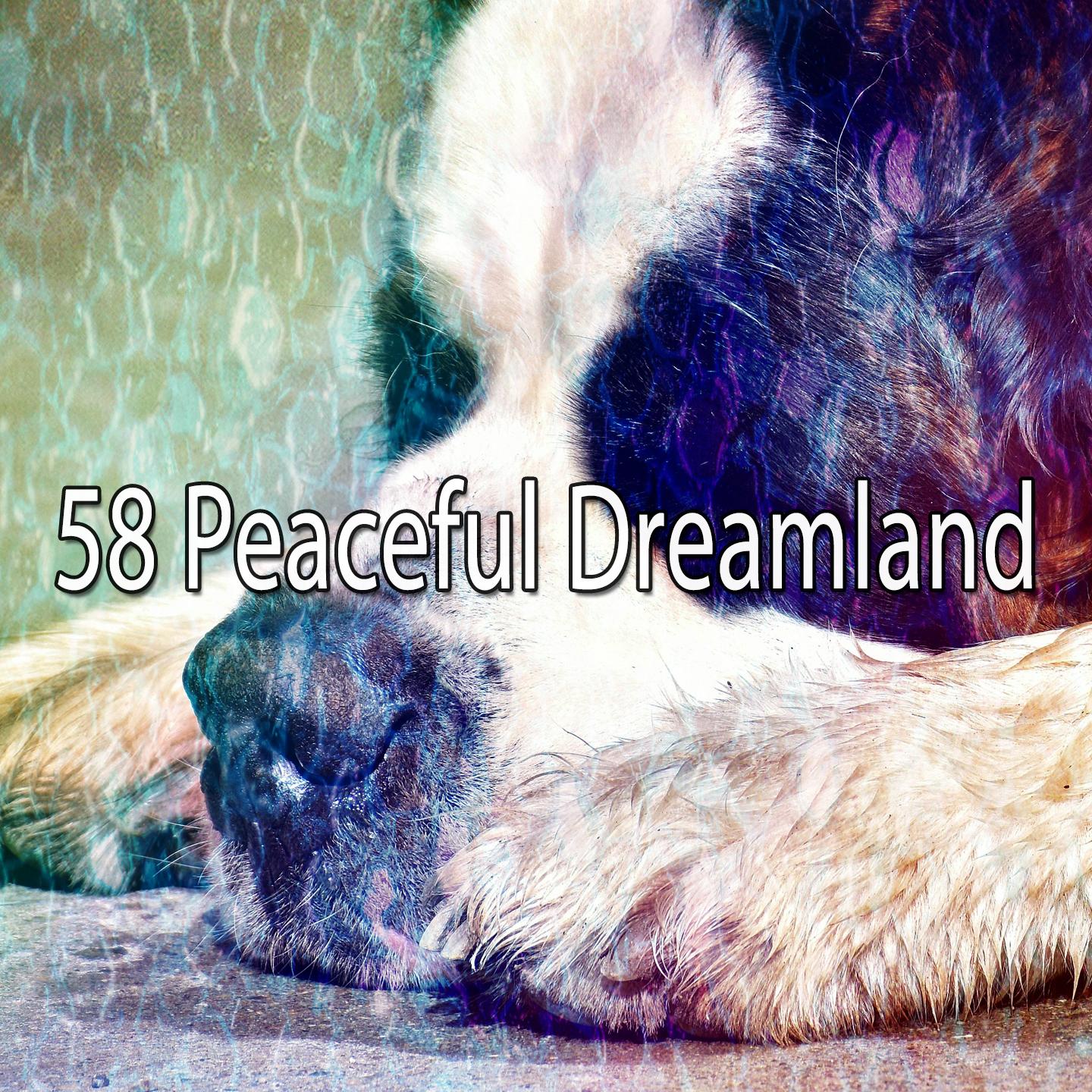 58 Peaceful Dreamland