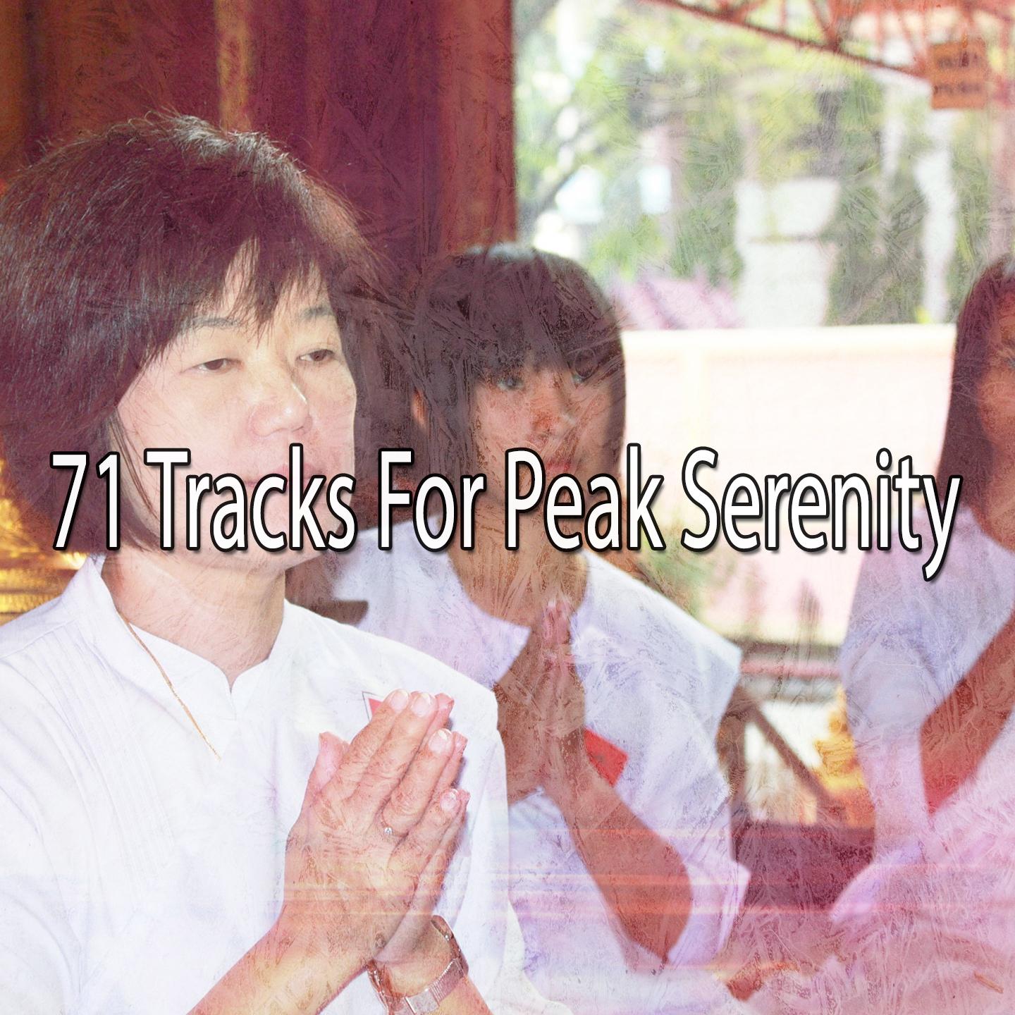71 Tracks for Peak Serenity