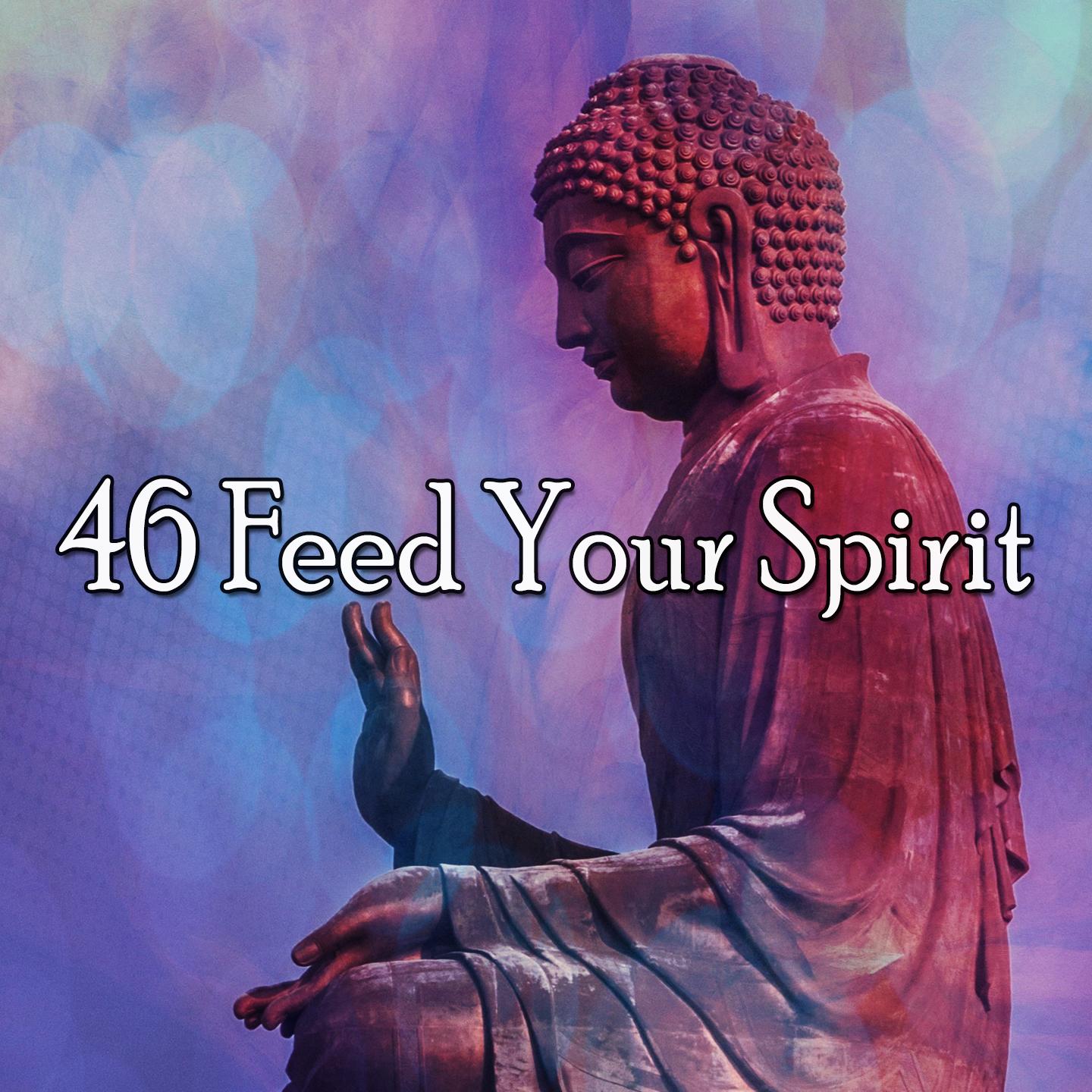 46 Feed Your Spirit