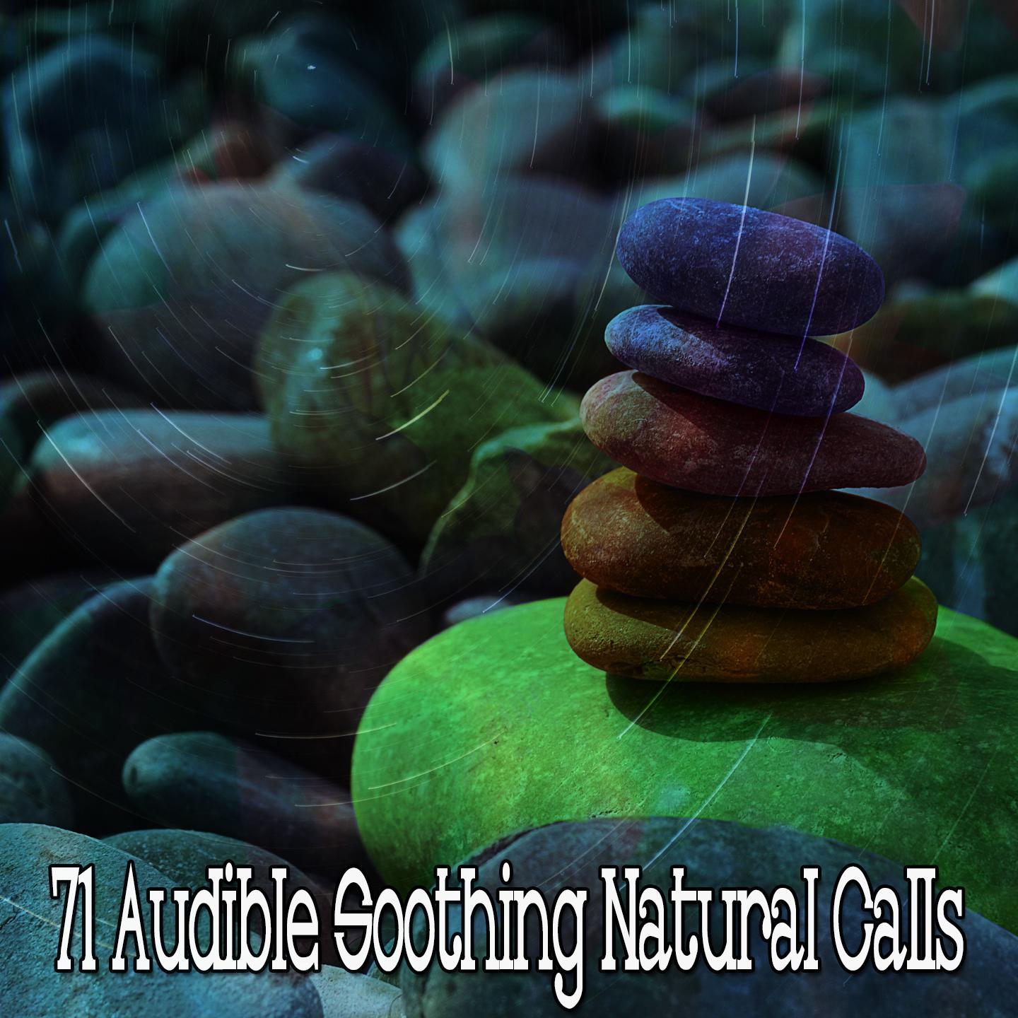 71 Audible Soothing Natural Calls