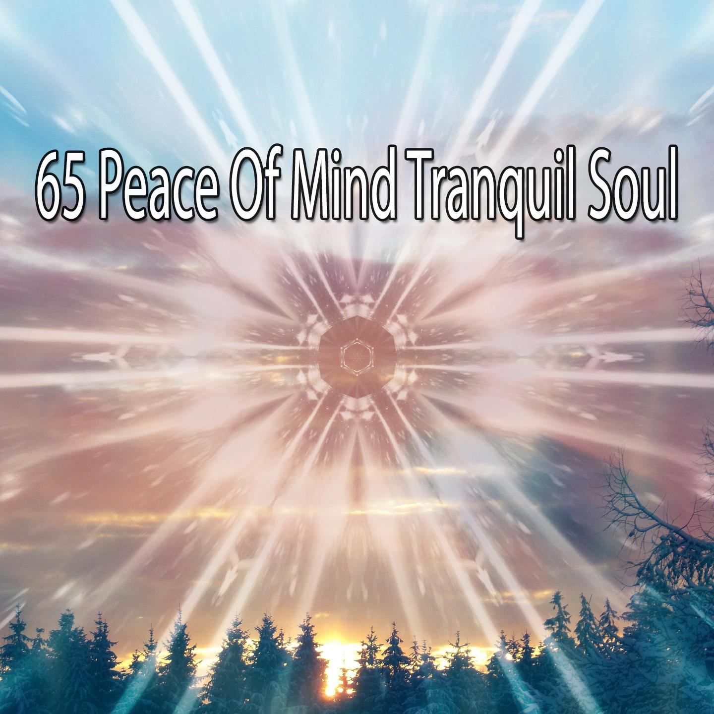 65 Peace of Mind Tranquil Soul