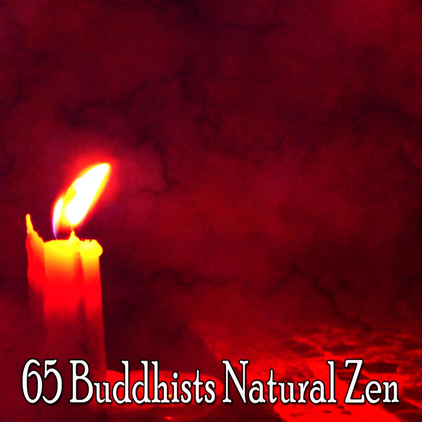 65 Buddhists Natural Zen