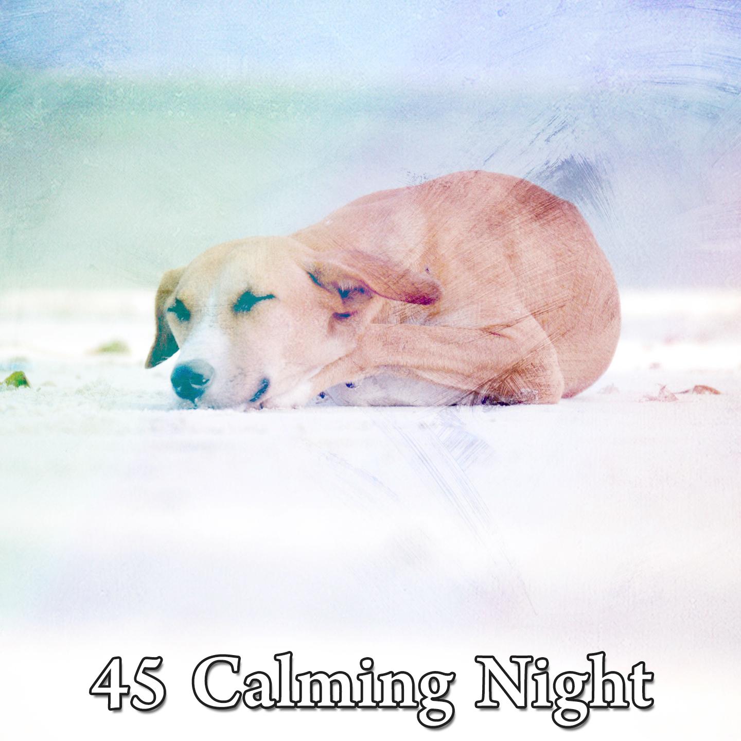 45 Calming Night