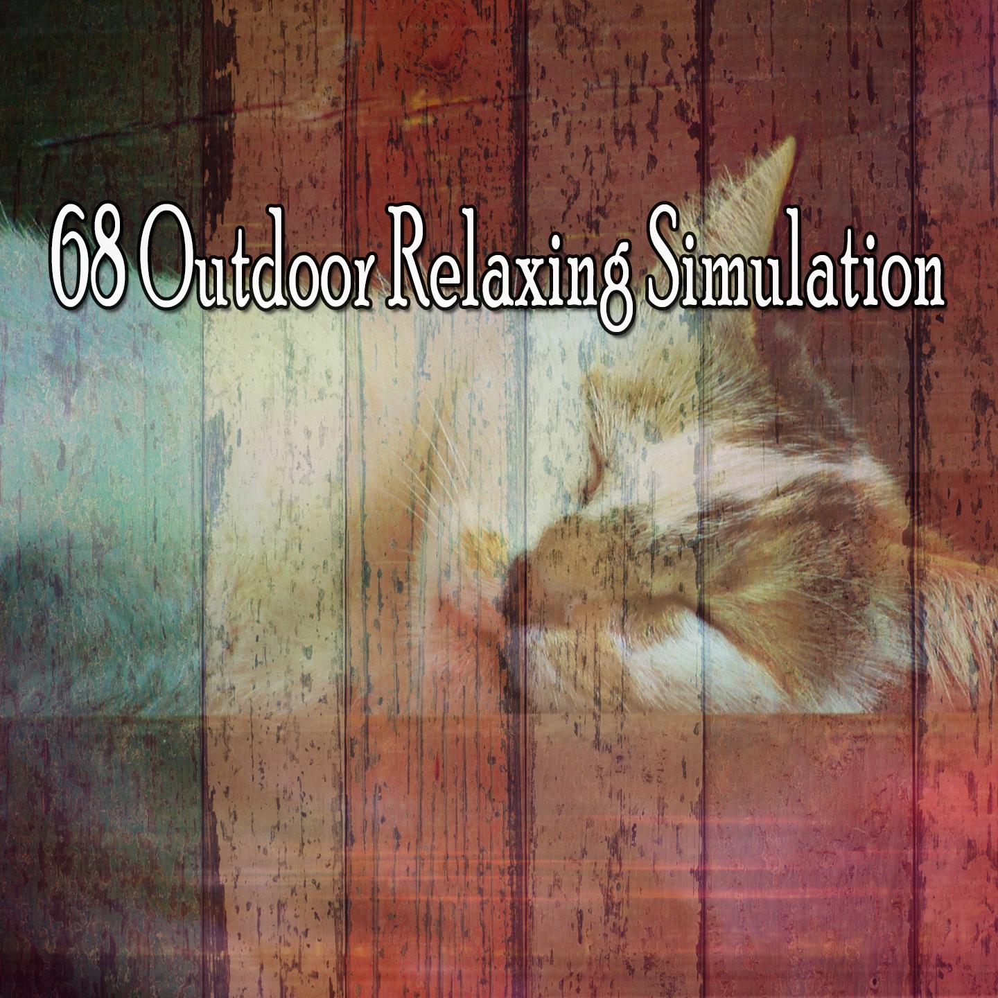 68 Outdoor Relaxing Simulation