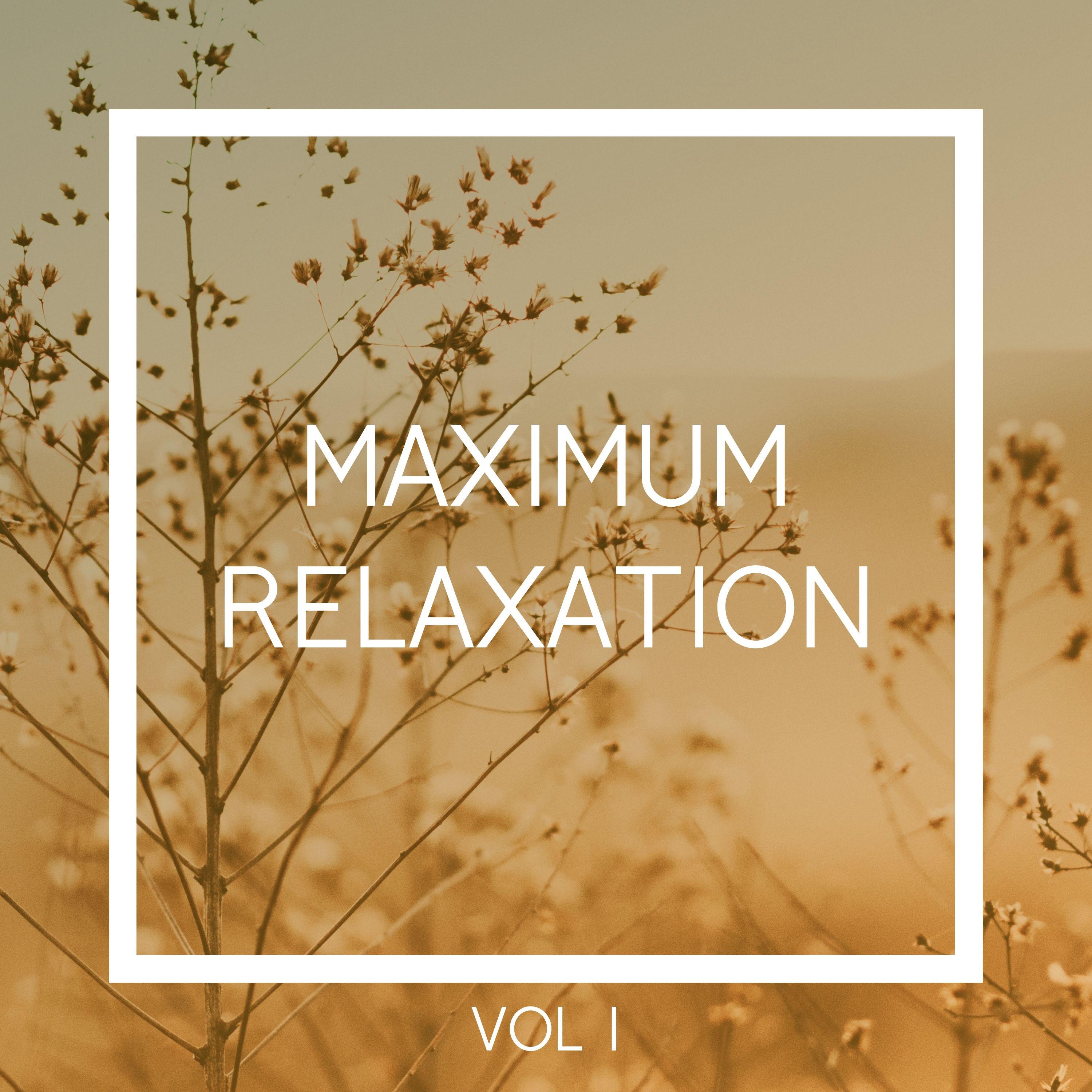 Maximum Relaxation