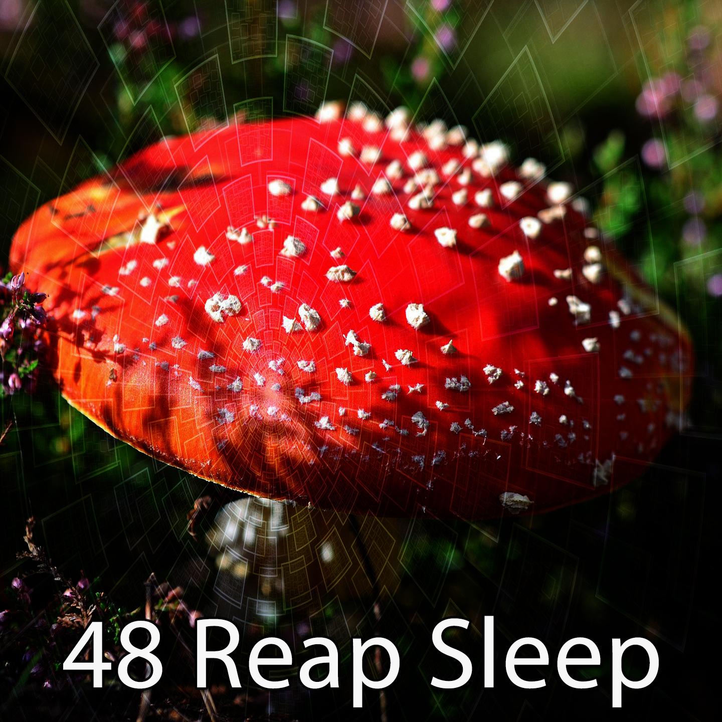 48 Reap Sleep