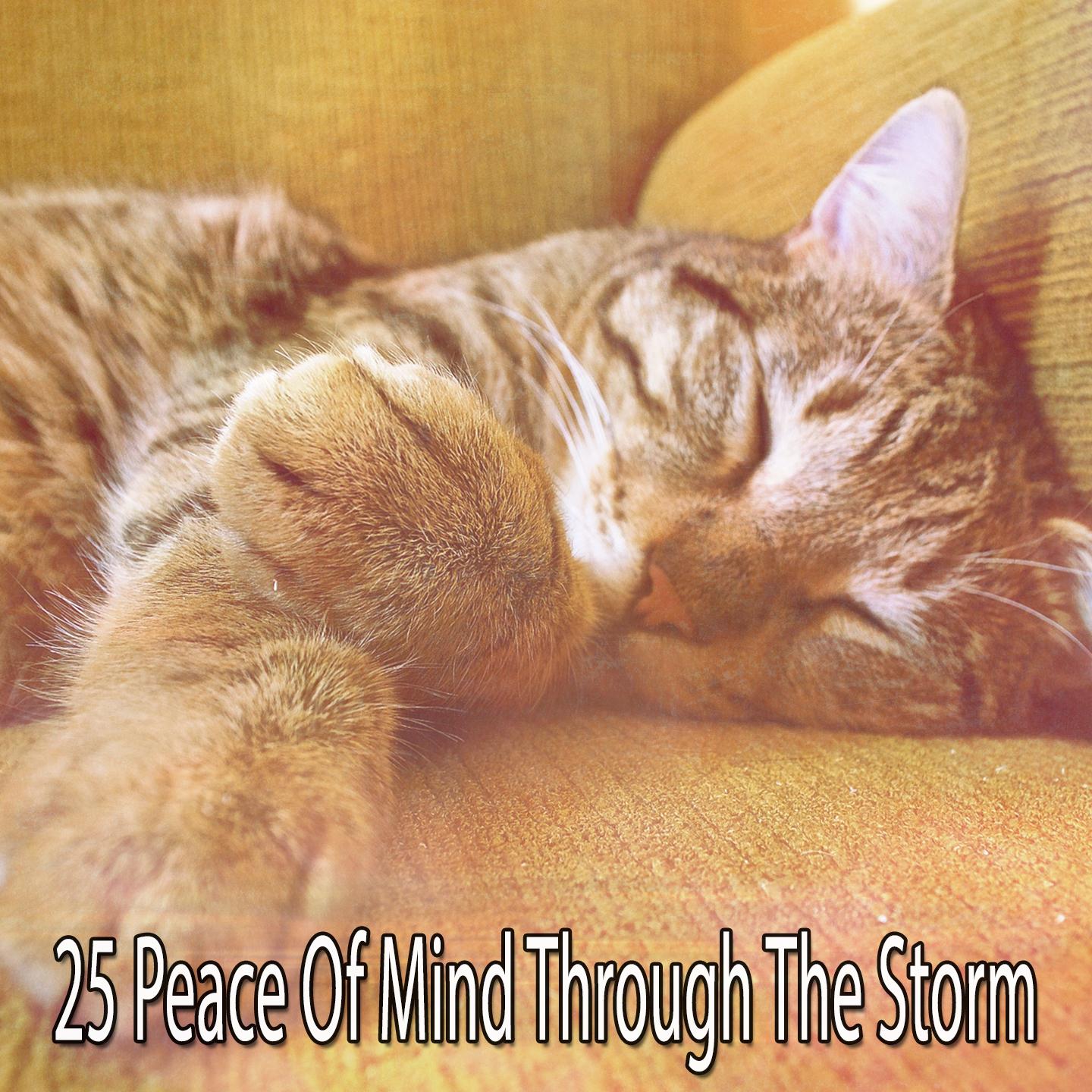 25 Peace of Mind Through the Storm
