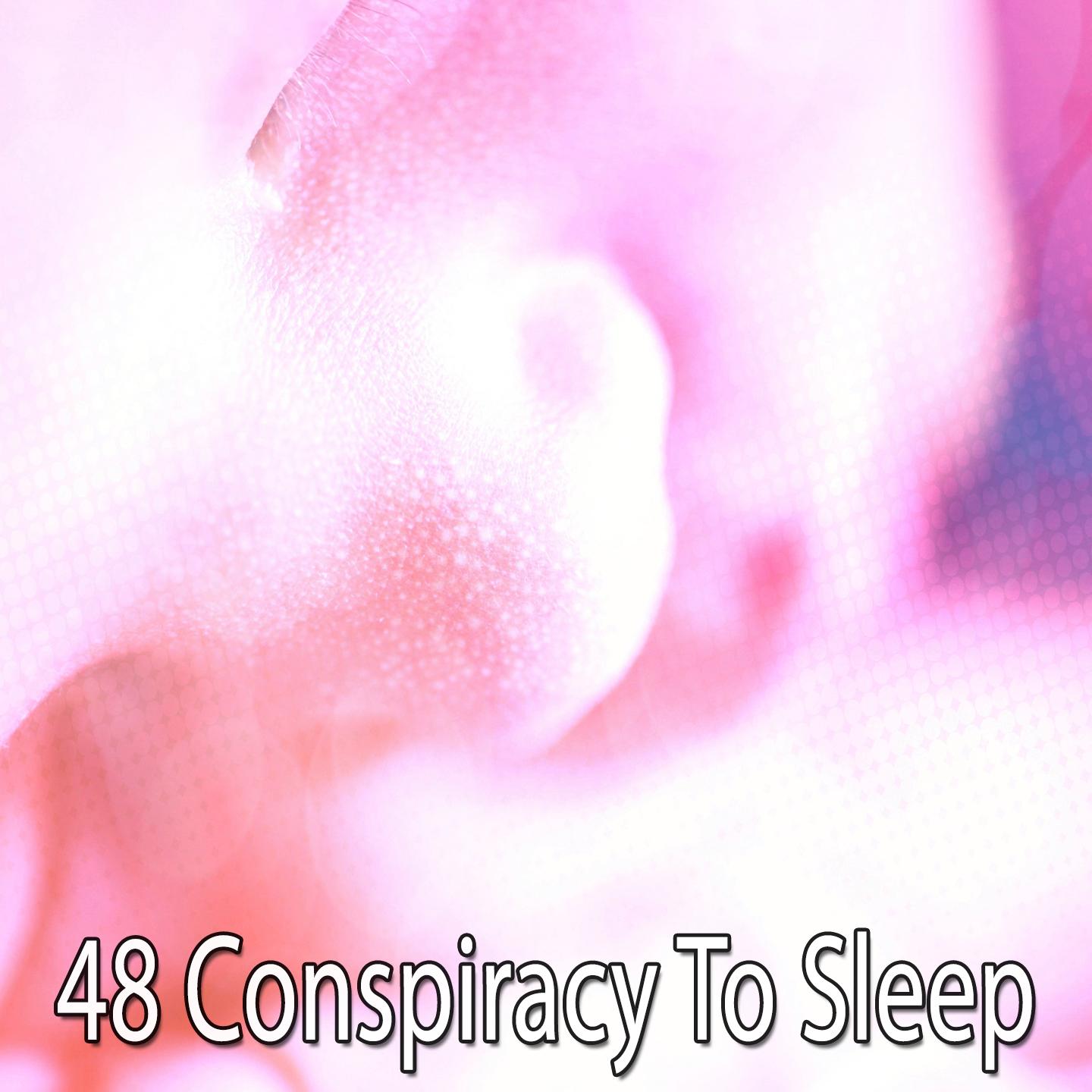 48 Conspiracy to Sleep