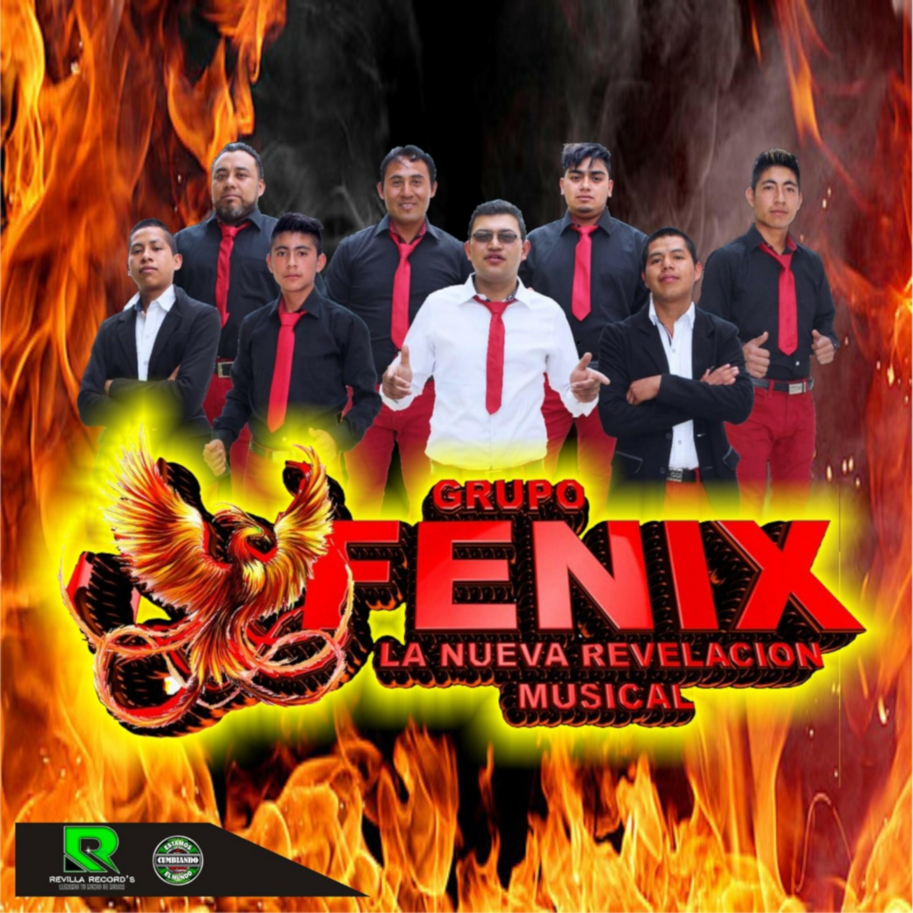 Grupo Fenix