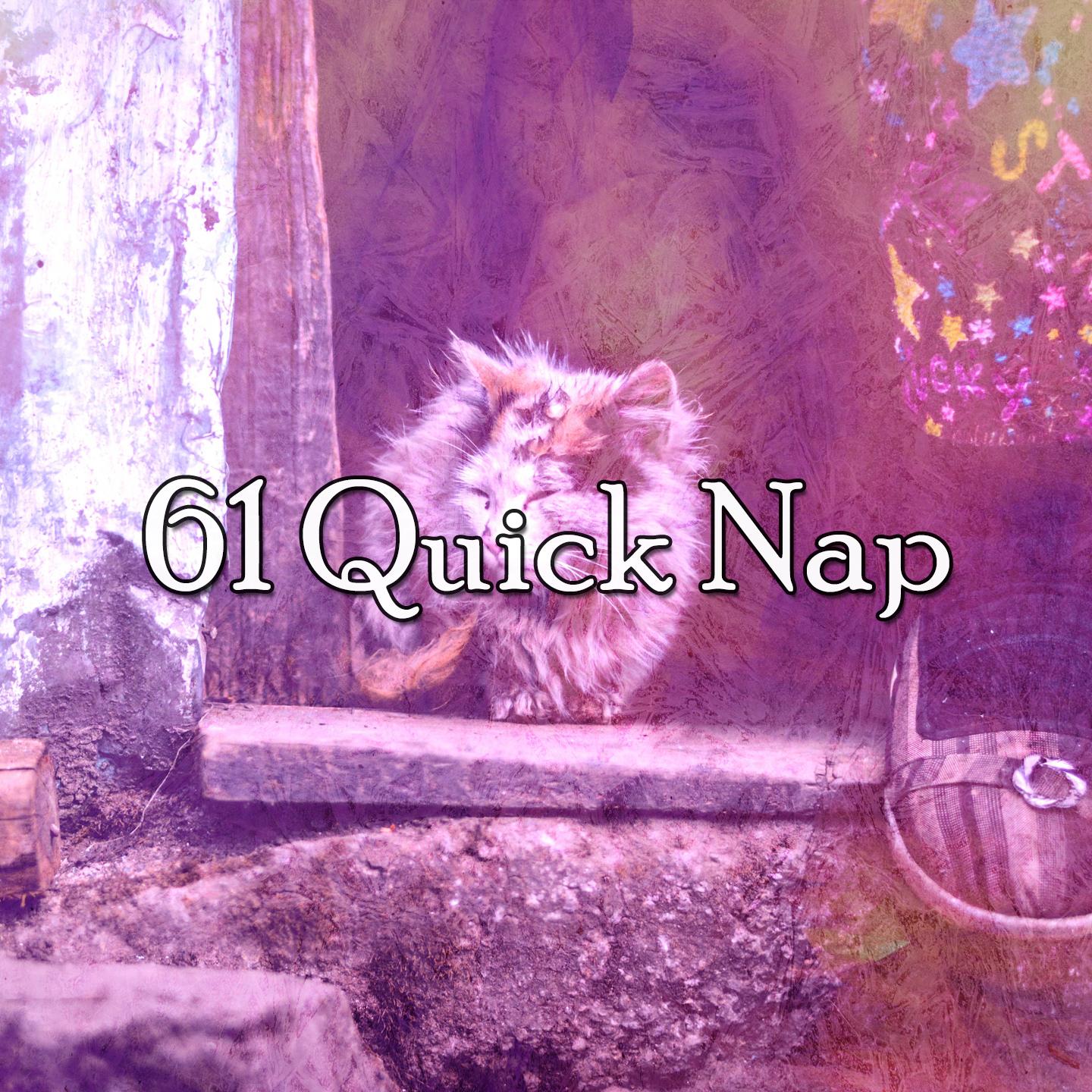 61 Quick Nap