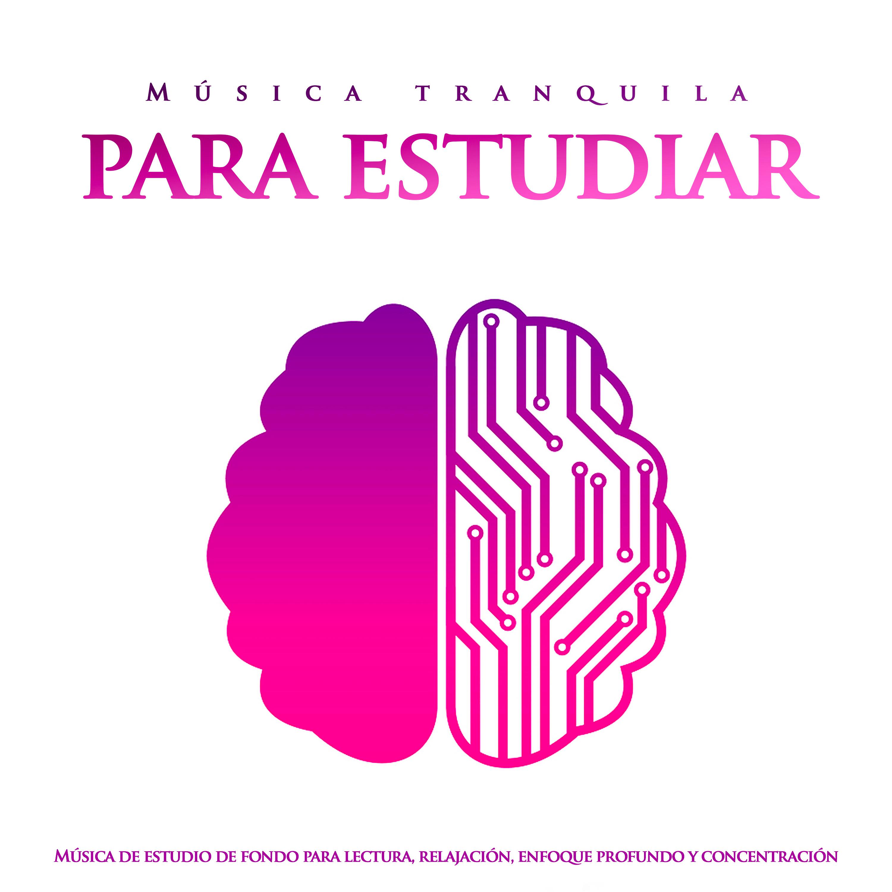 Música tranquila para estudiar: Música de estudio de fondo para lectura, relajación, enfoque profundo y concentración