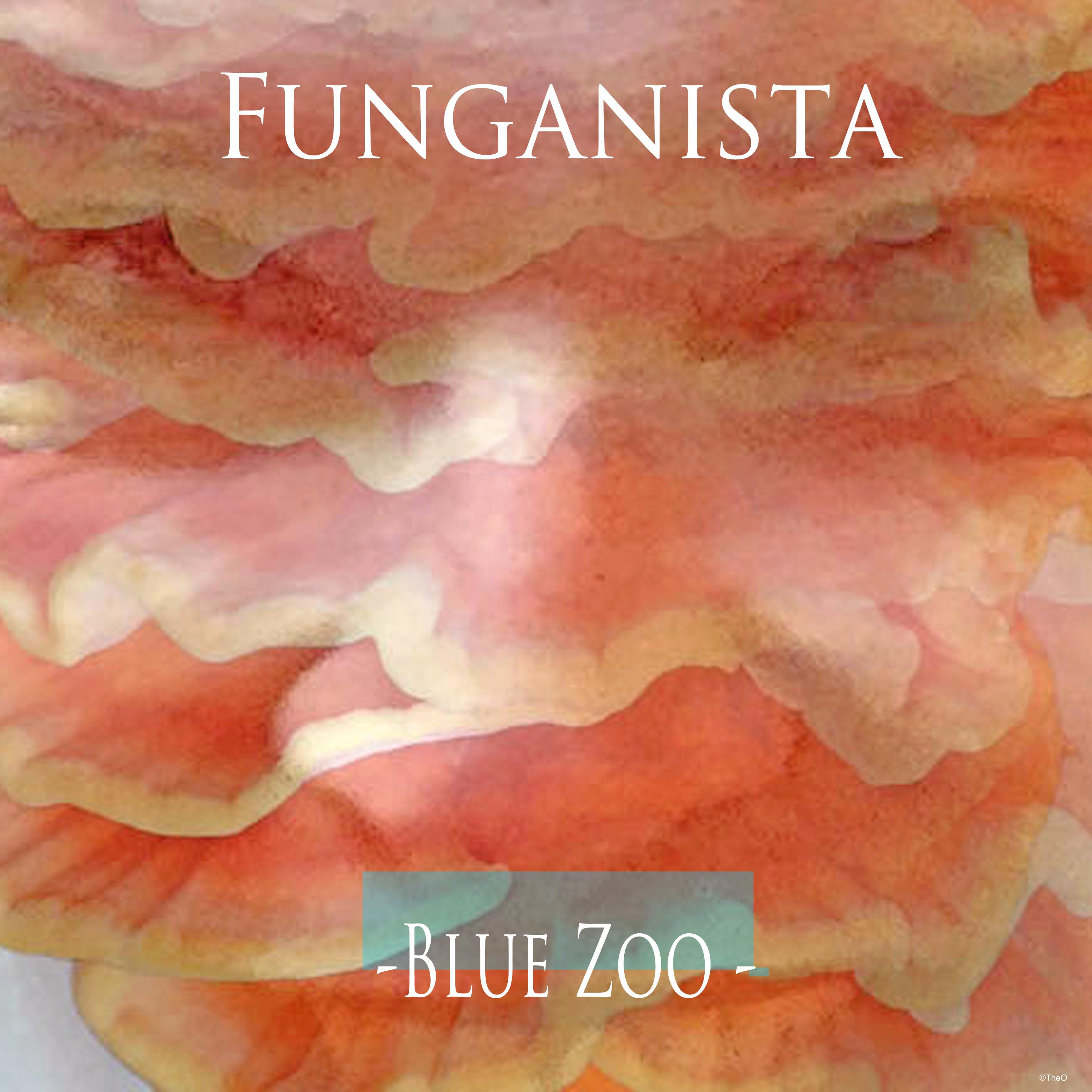 Funganista