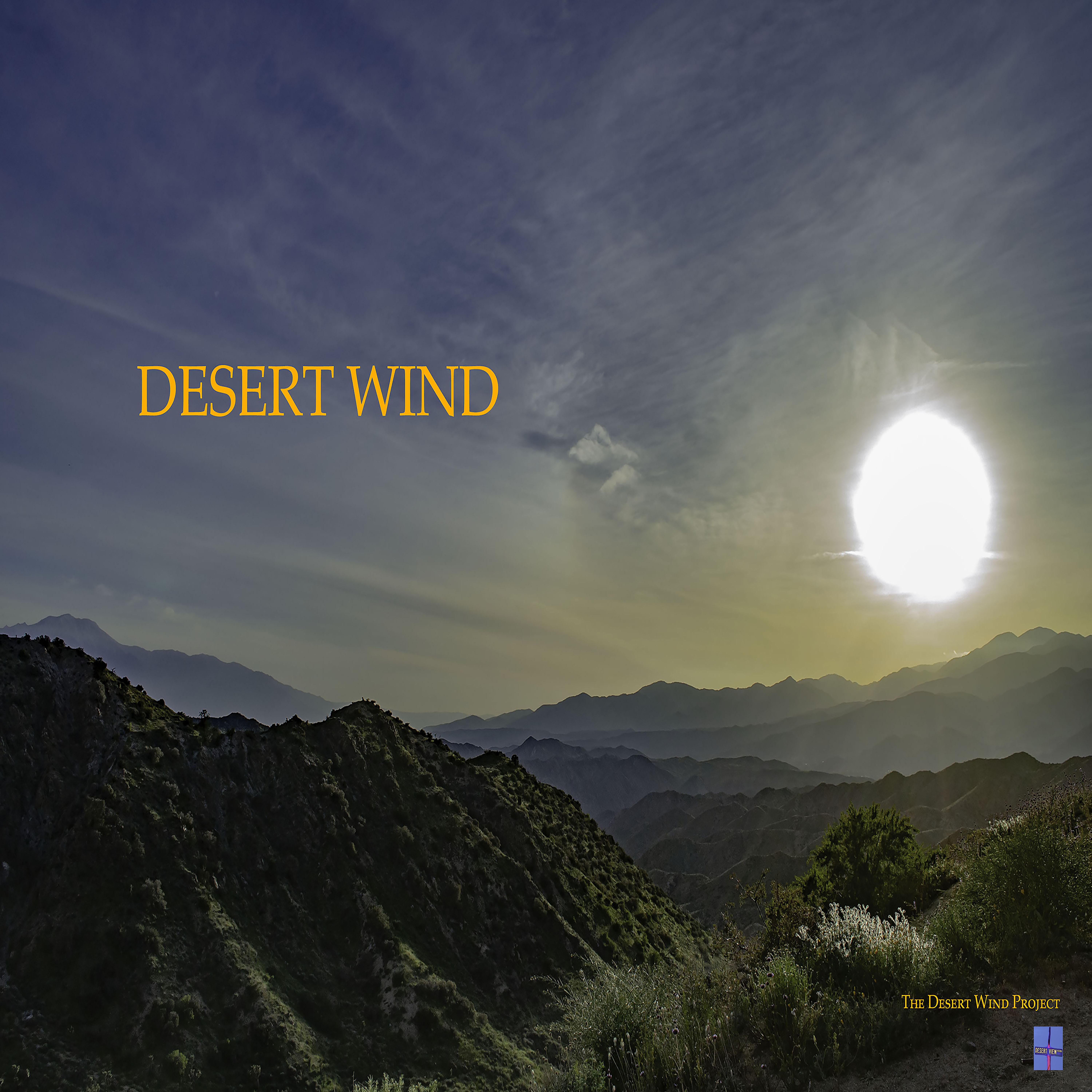 Desert Wind