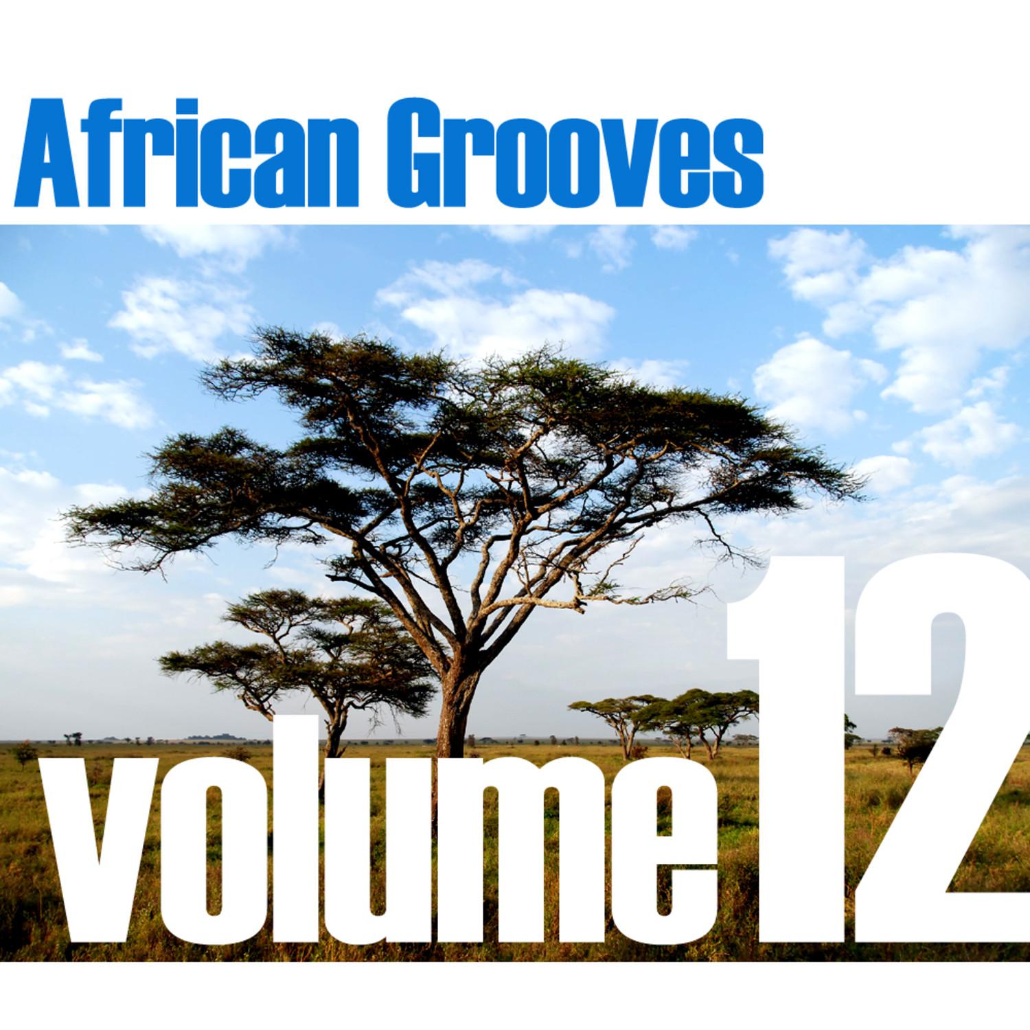 African Grooves Vol.12