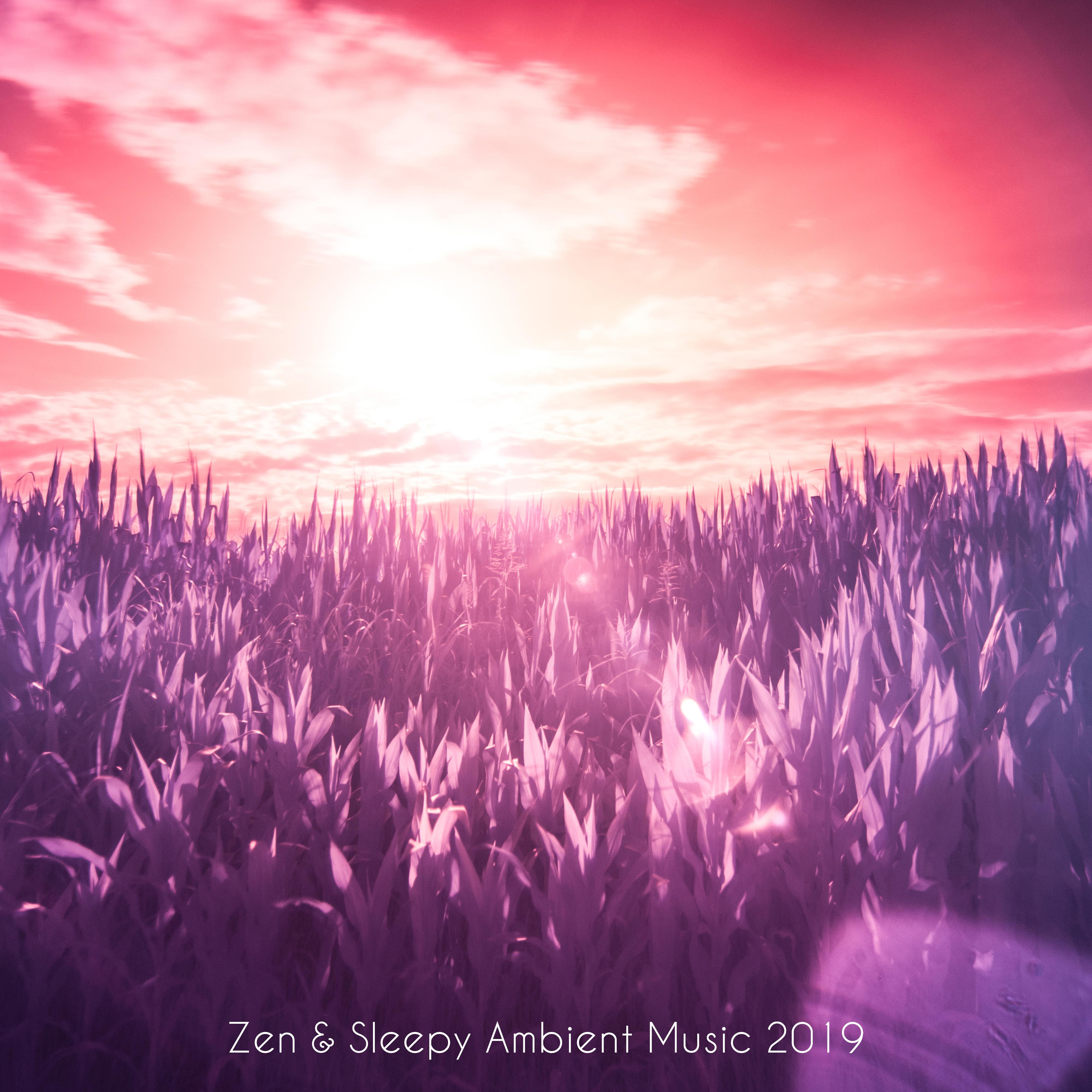 Zen and Sleepy Ambient Music Dedicated to Sleep and Meditation at Bedtime