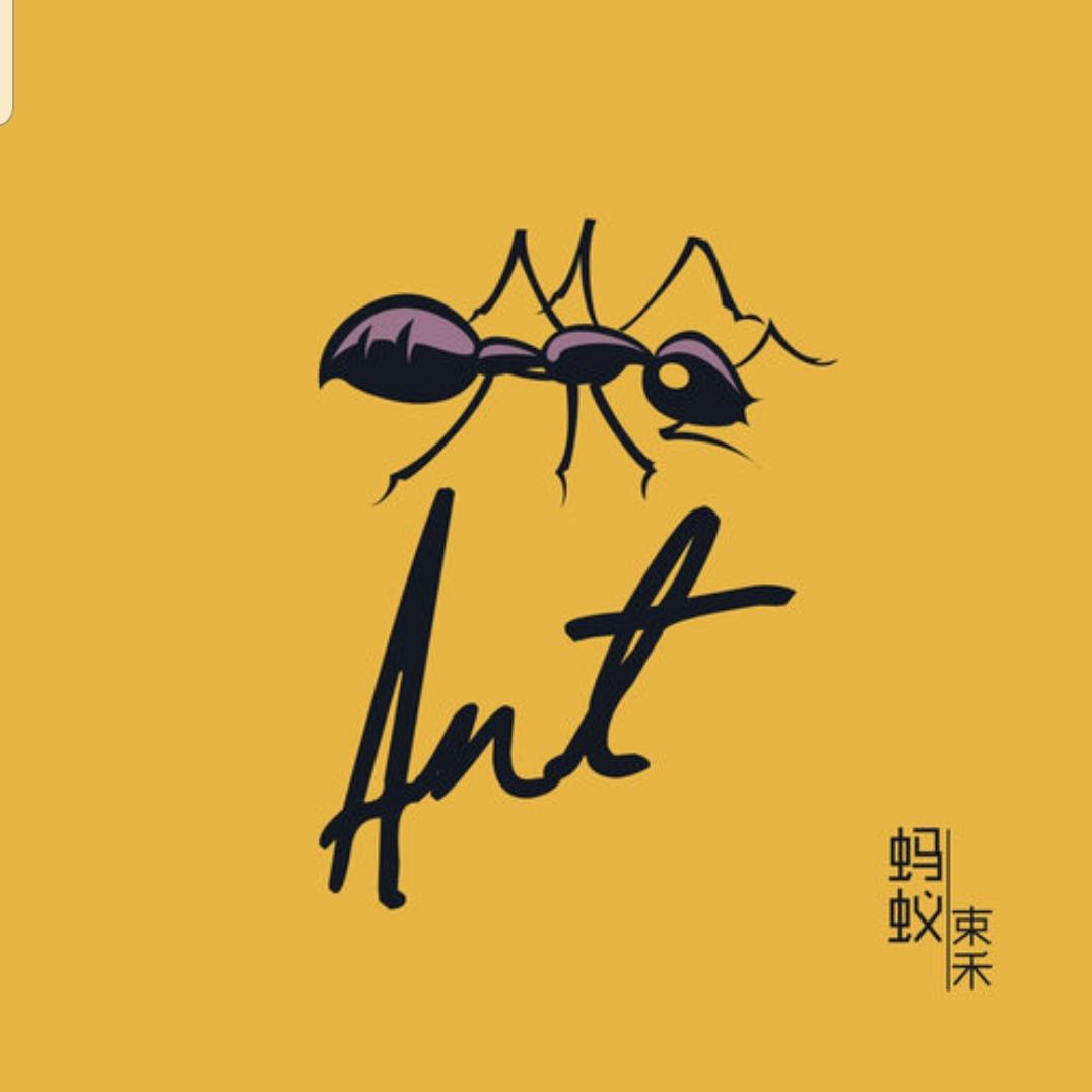 01.蚂蚁-束禾
