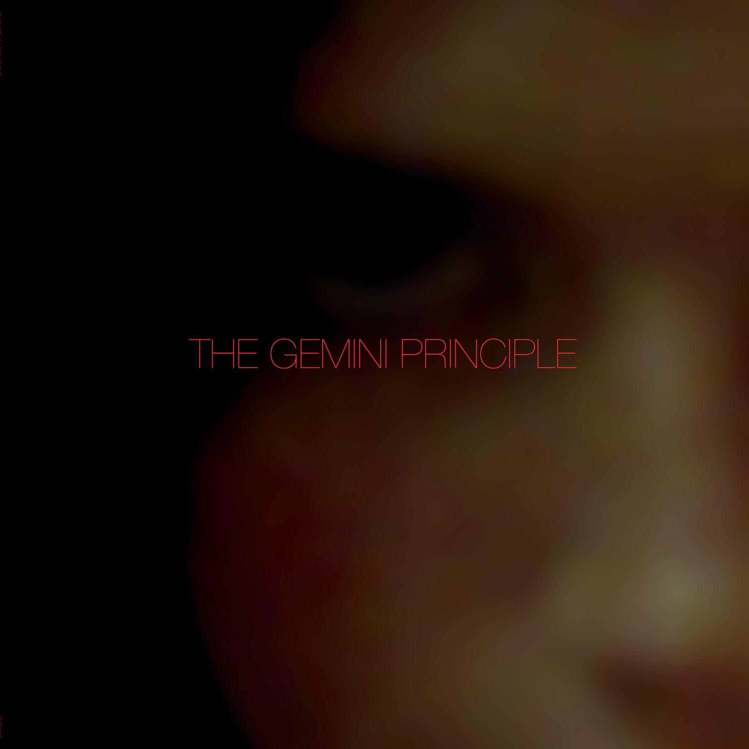 The Gemini Principle I