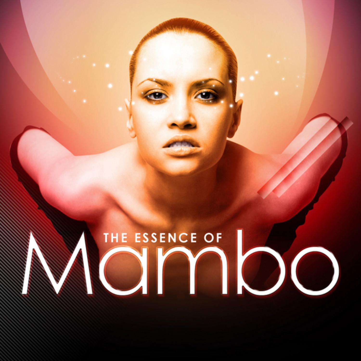 Latin Master Series - The Essence of Mambo