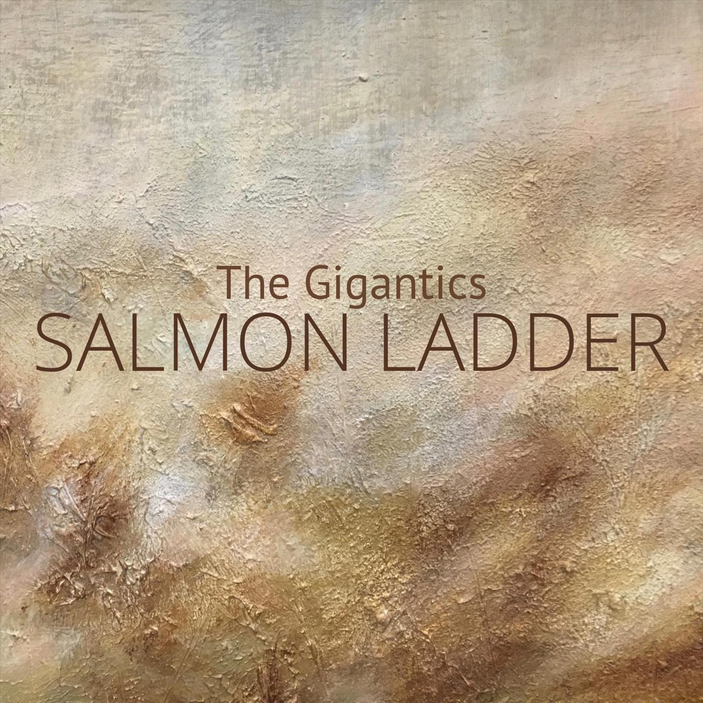 Salmon Ladder