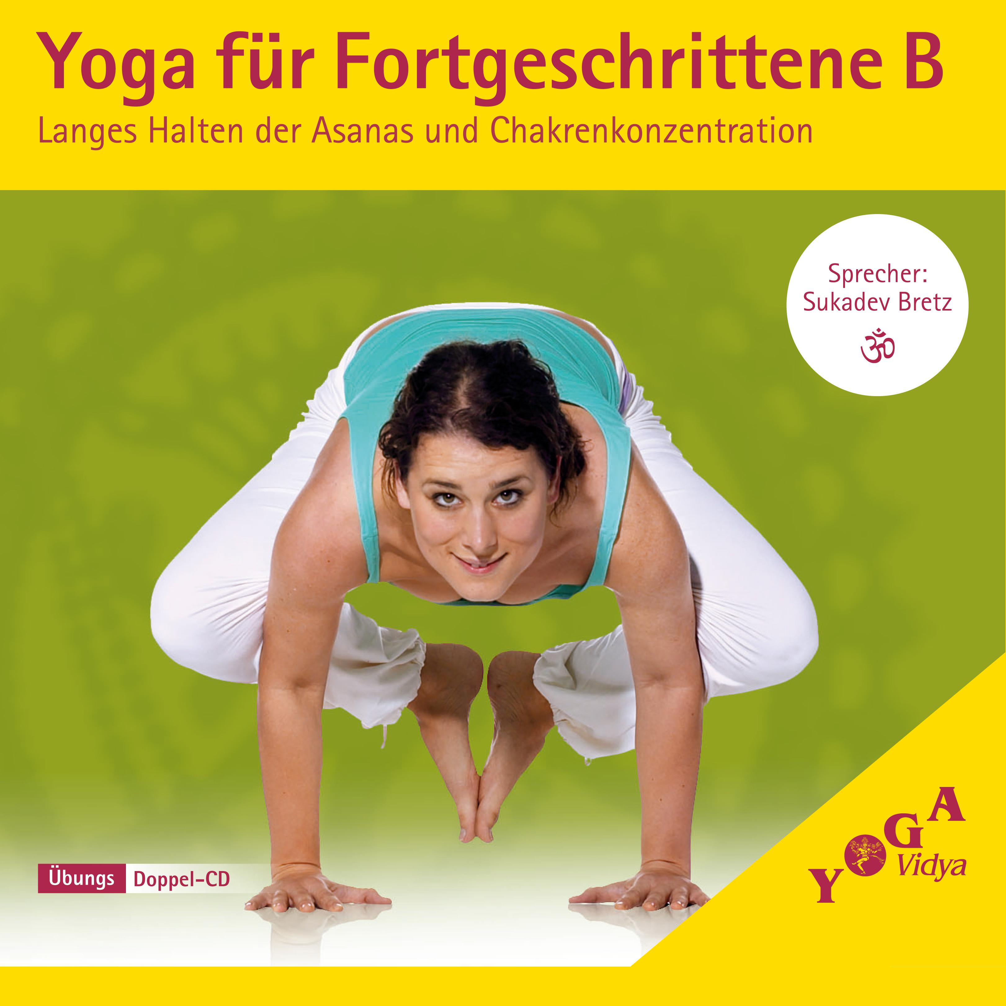 Yoga für Fortgeschrittene B (Langes Halten der Asanas und Chakrenkonzentration)