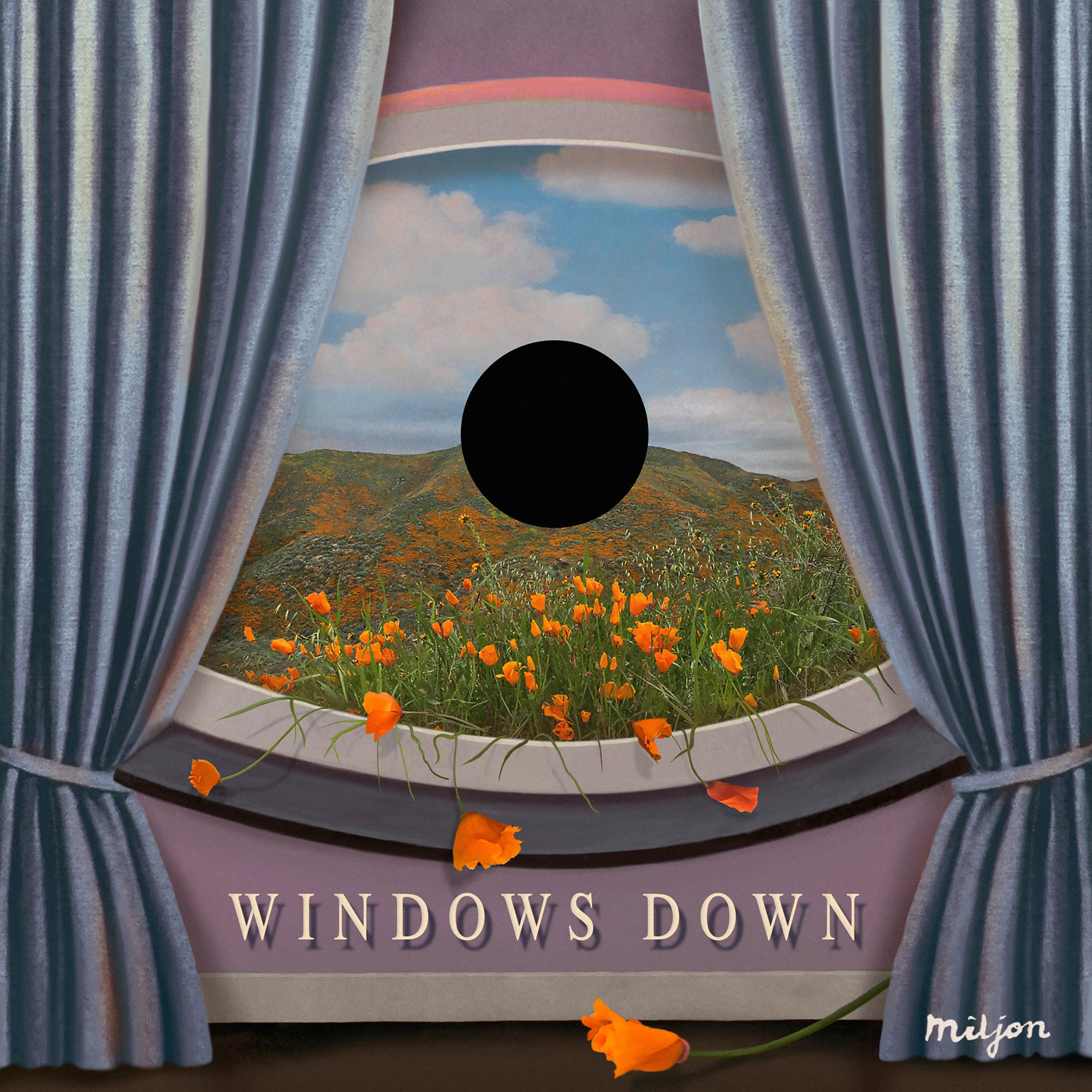 Windows Down