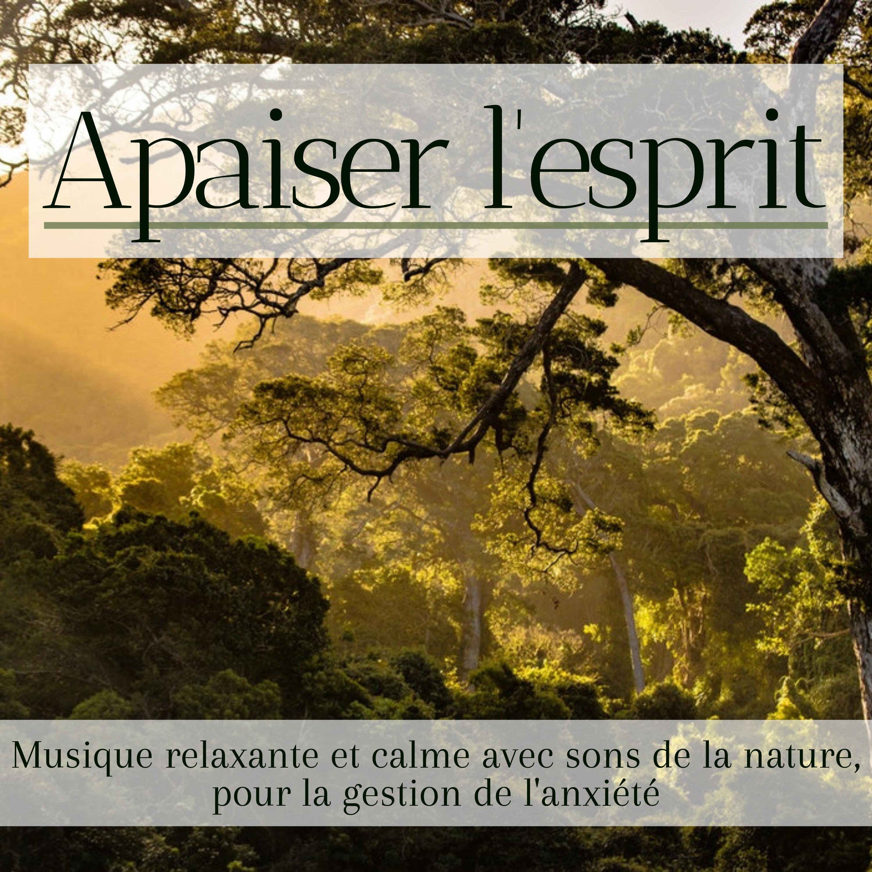 Apaiser l'Esprit - Musique relaxante et calme avec sons de la nature, pour la gestion de l'anxiété