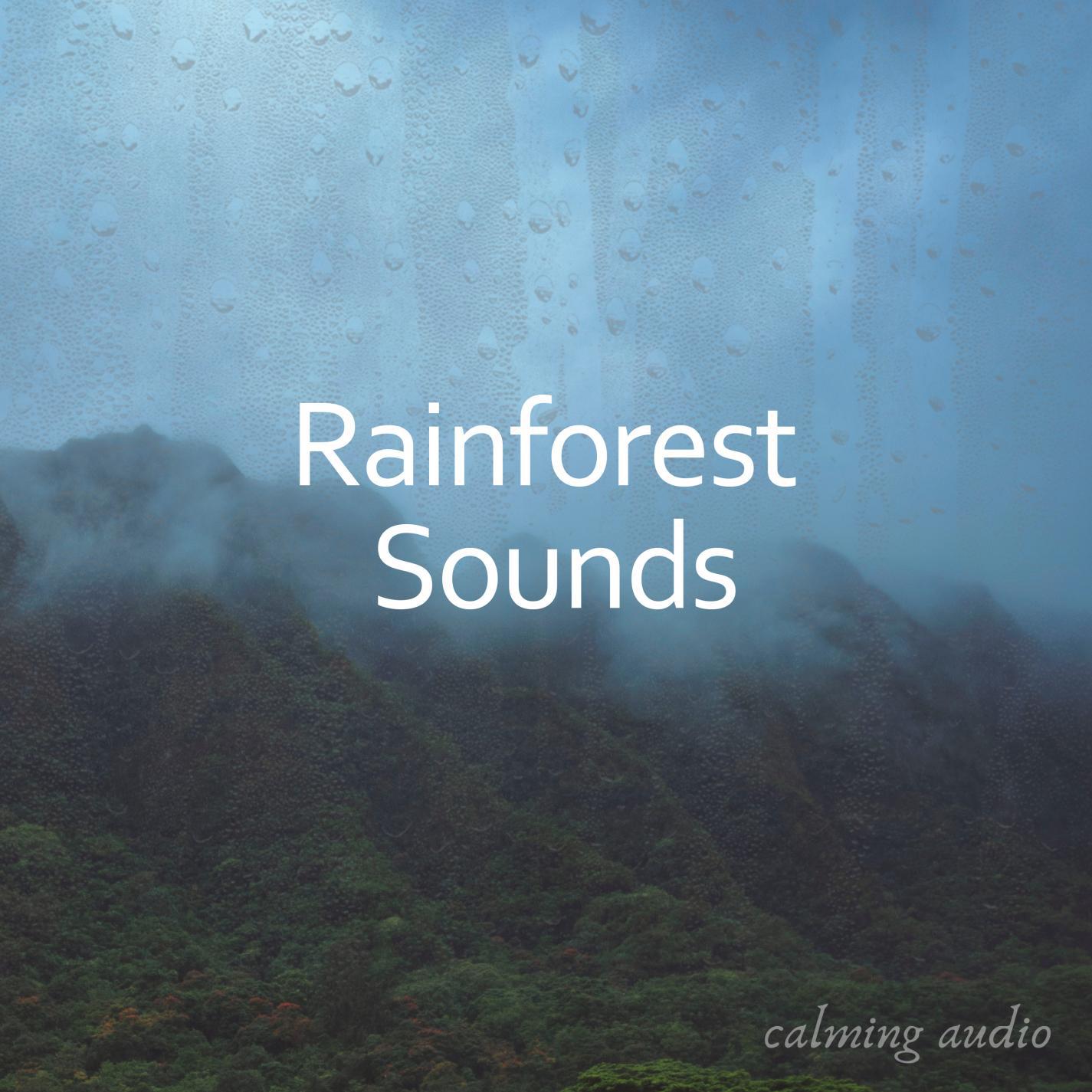 Rainforest Sounds for Massage and Studying