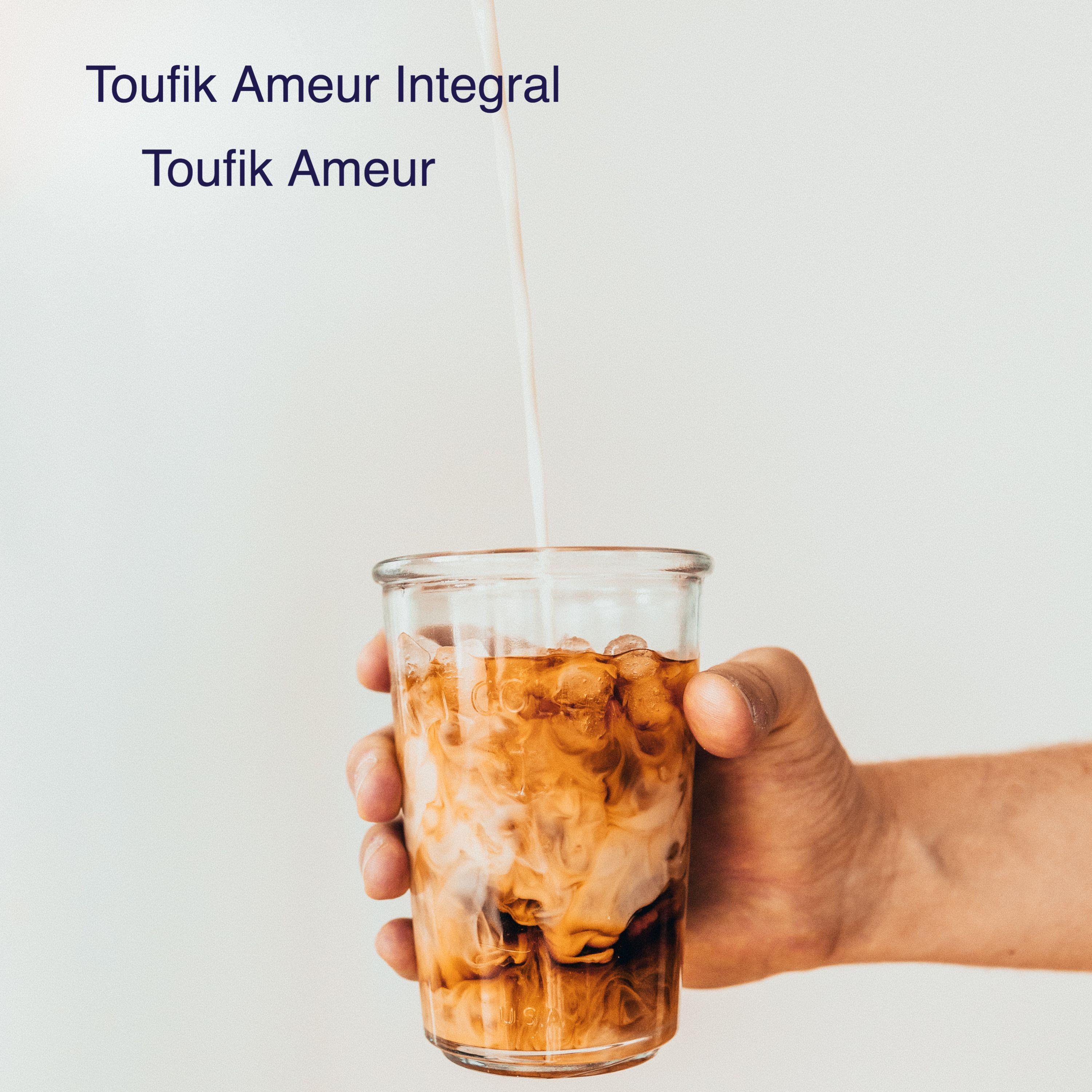 Toufik Ameur3