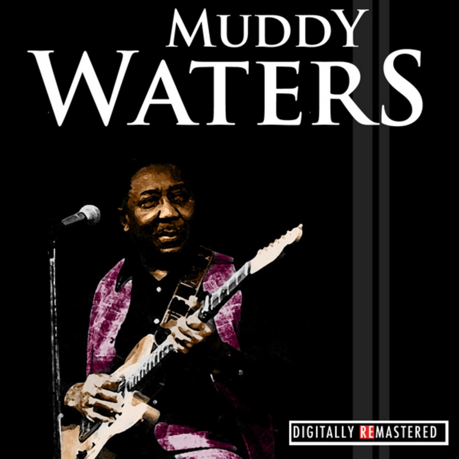 Classic Years of Muddy Waters