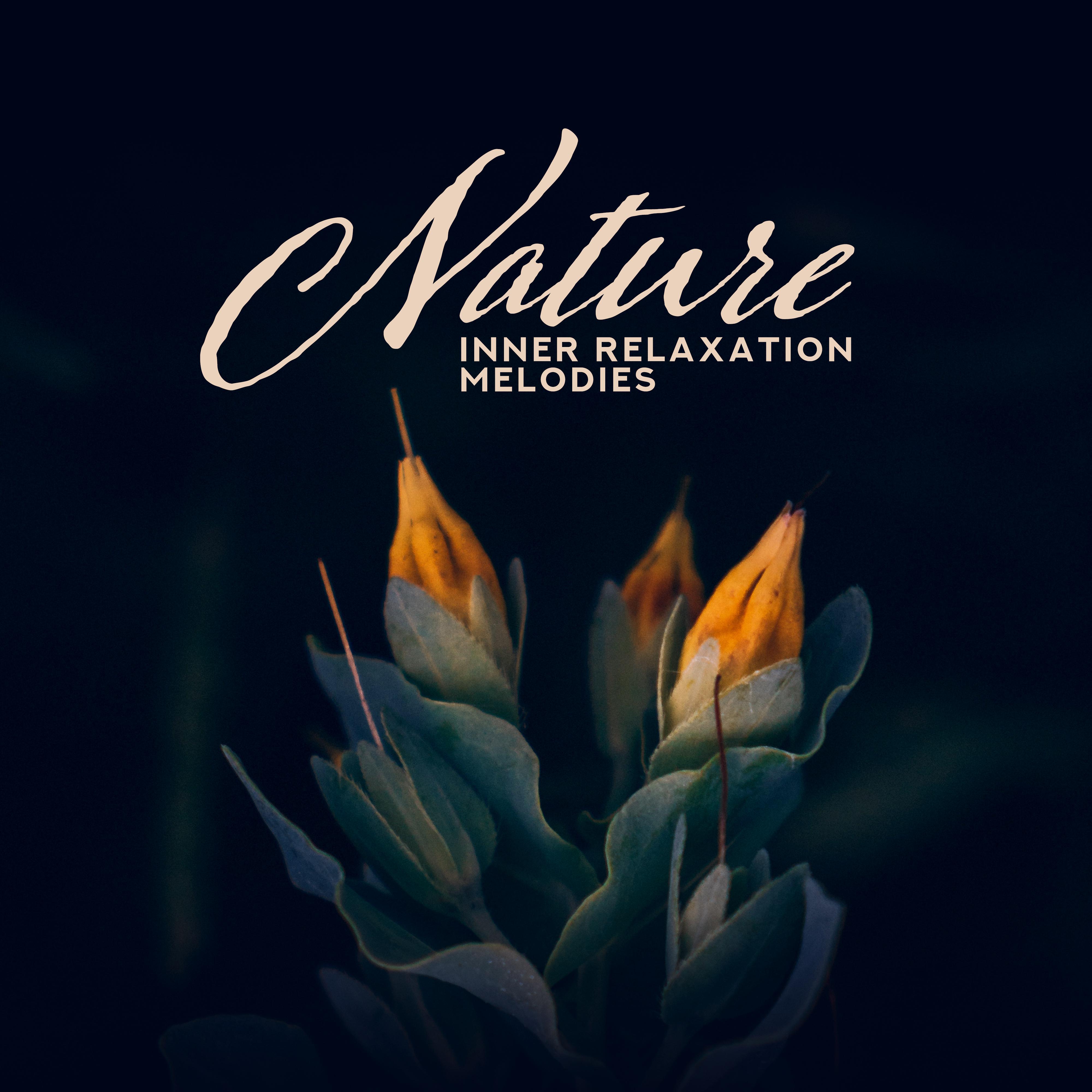 Nature Inner Relaxation Melodies: Compilation of 2019 New Age Piano Music with Nature Sounds of Forest, Water, Birds & Others