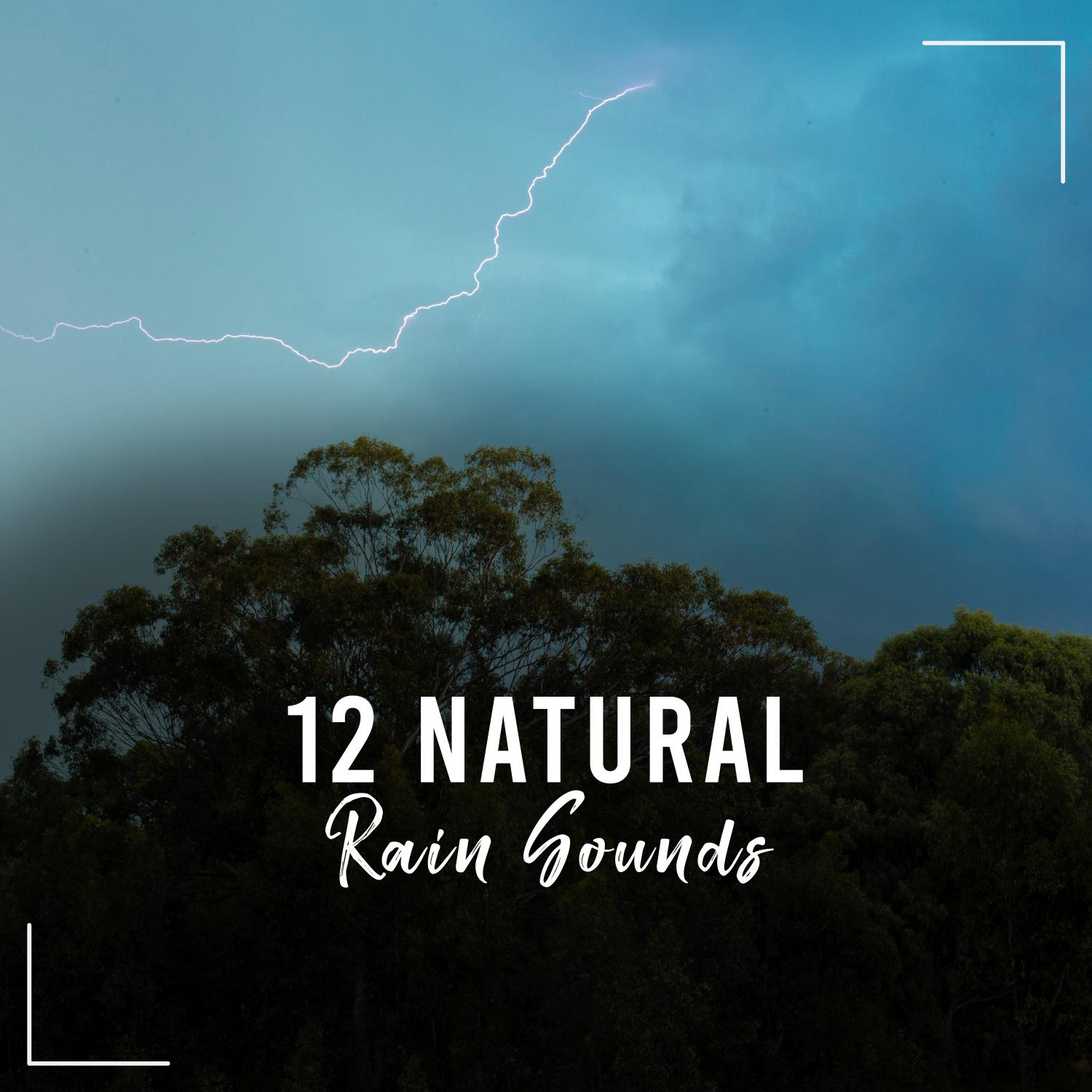 12 Natural Rain Sounds: Sleep, Relax, Meditation, Yoga, Insomnia, Study, Wellbeing, Mindfulness, Massage