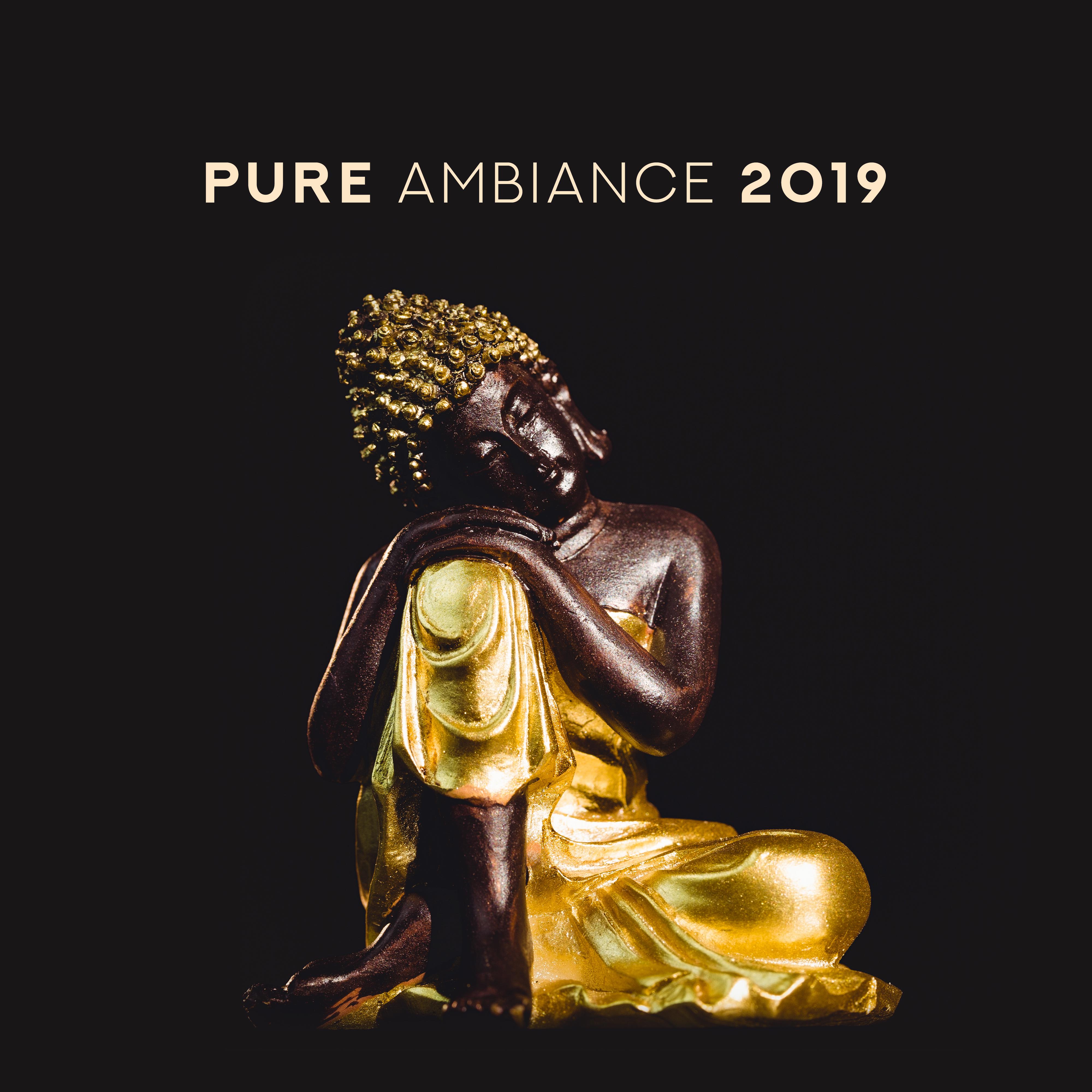 Pure Ambiance 2019 – Meditation Music Zone, Chakra Meditation, Deep Harmony, Inner Balance, Soothing Music to Calm Down, Reiki, Healing Music
