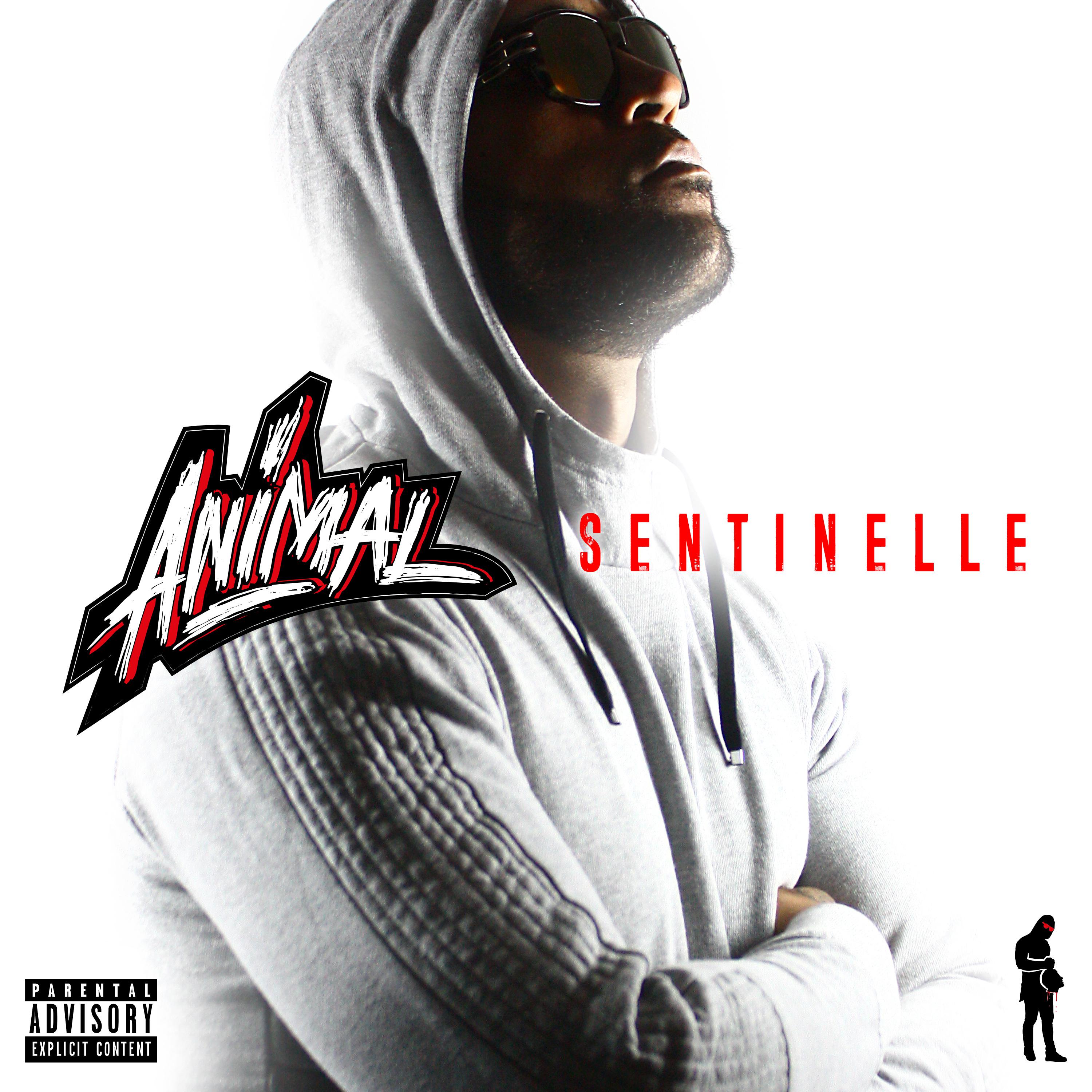 Sentinelle