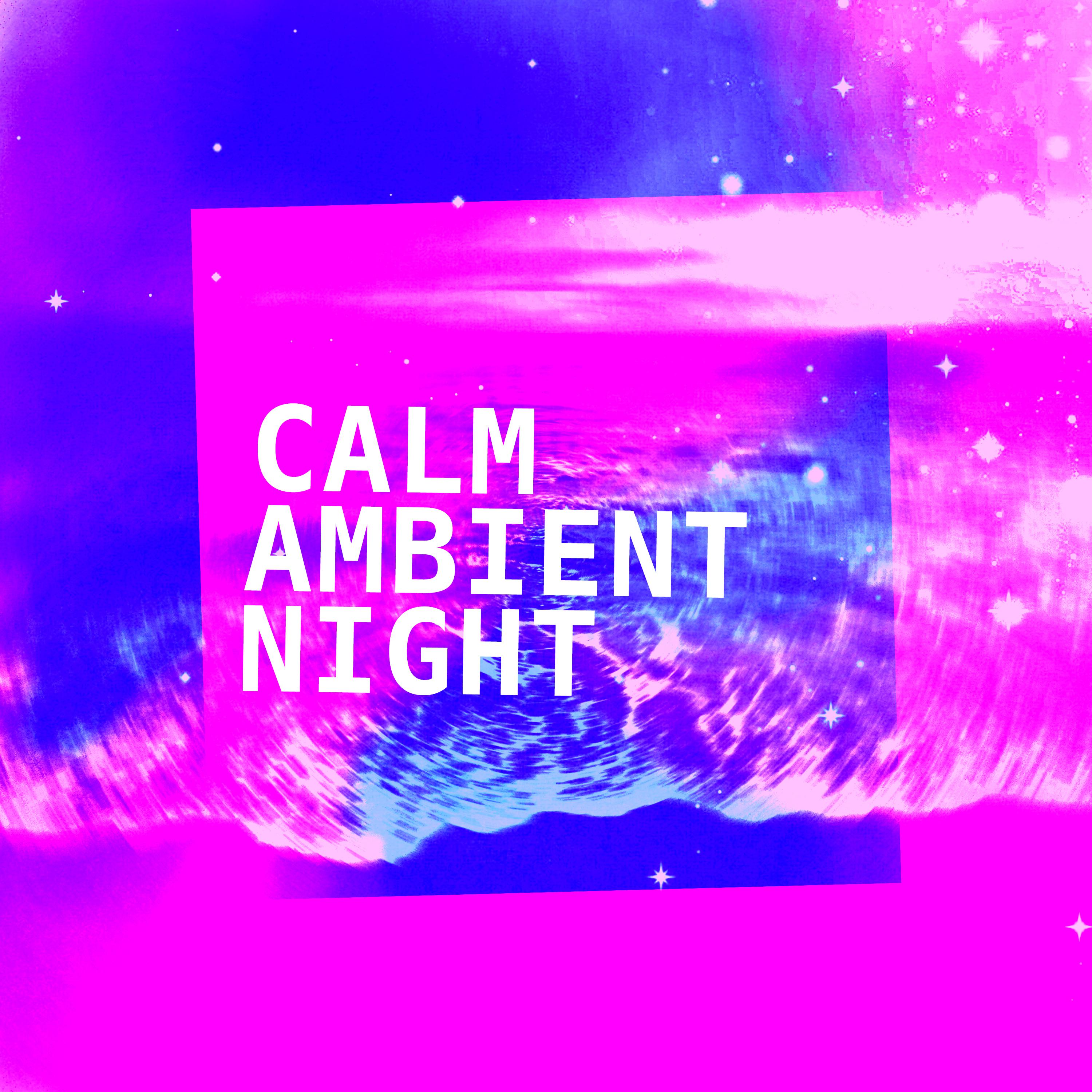 Calm Ambient Night