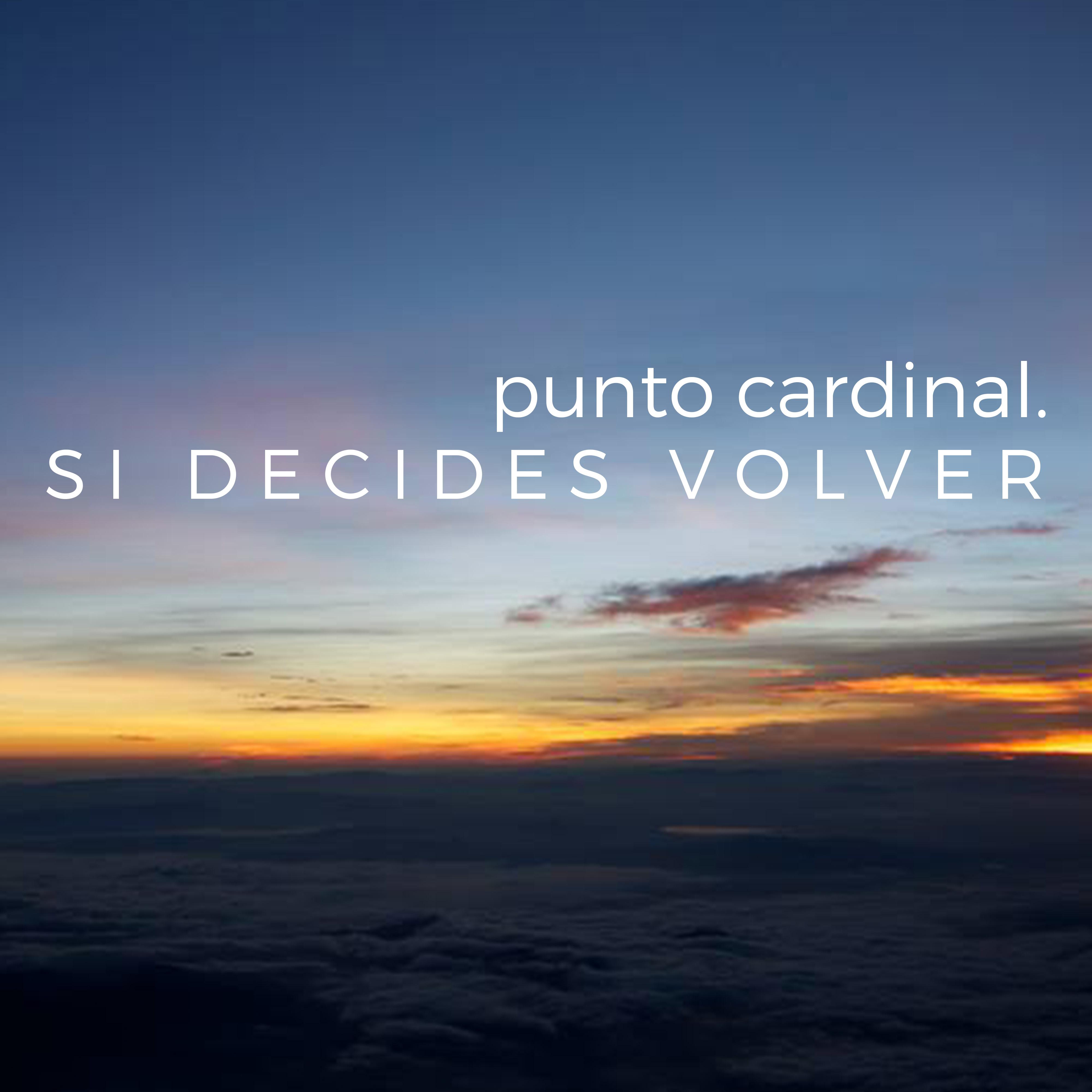 Si Decides Volver