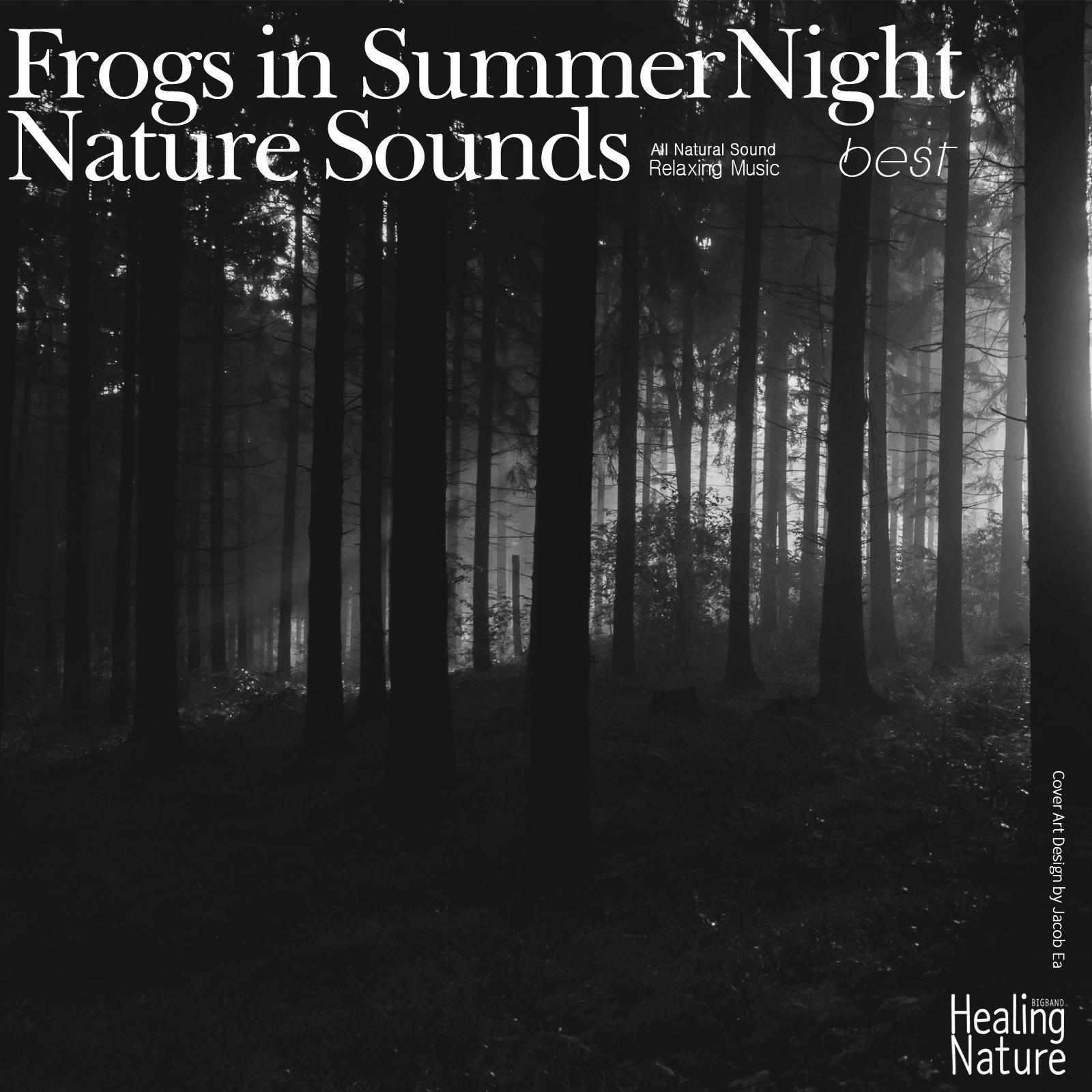 Frogs in Summer Night Nature Sounds, Pt. 50