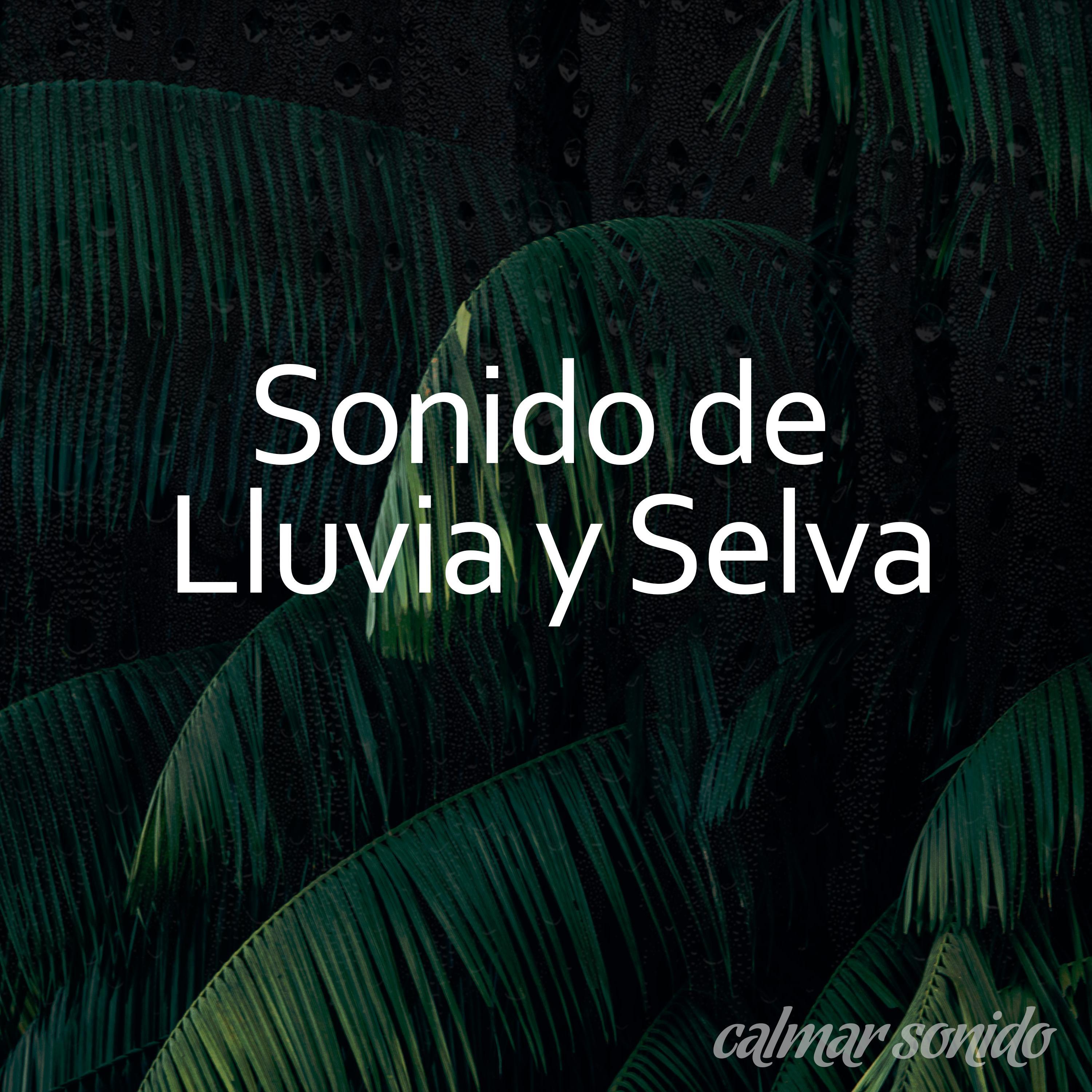 Selva Tropical Sonido, Pt. 10