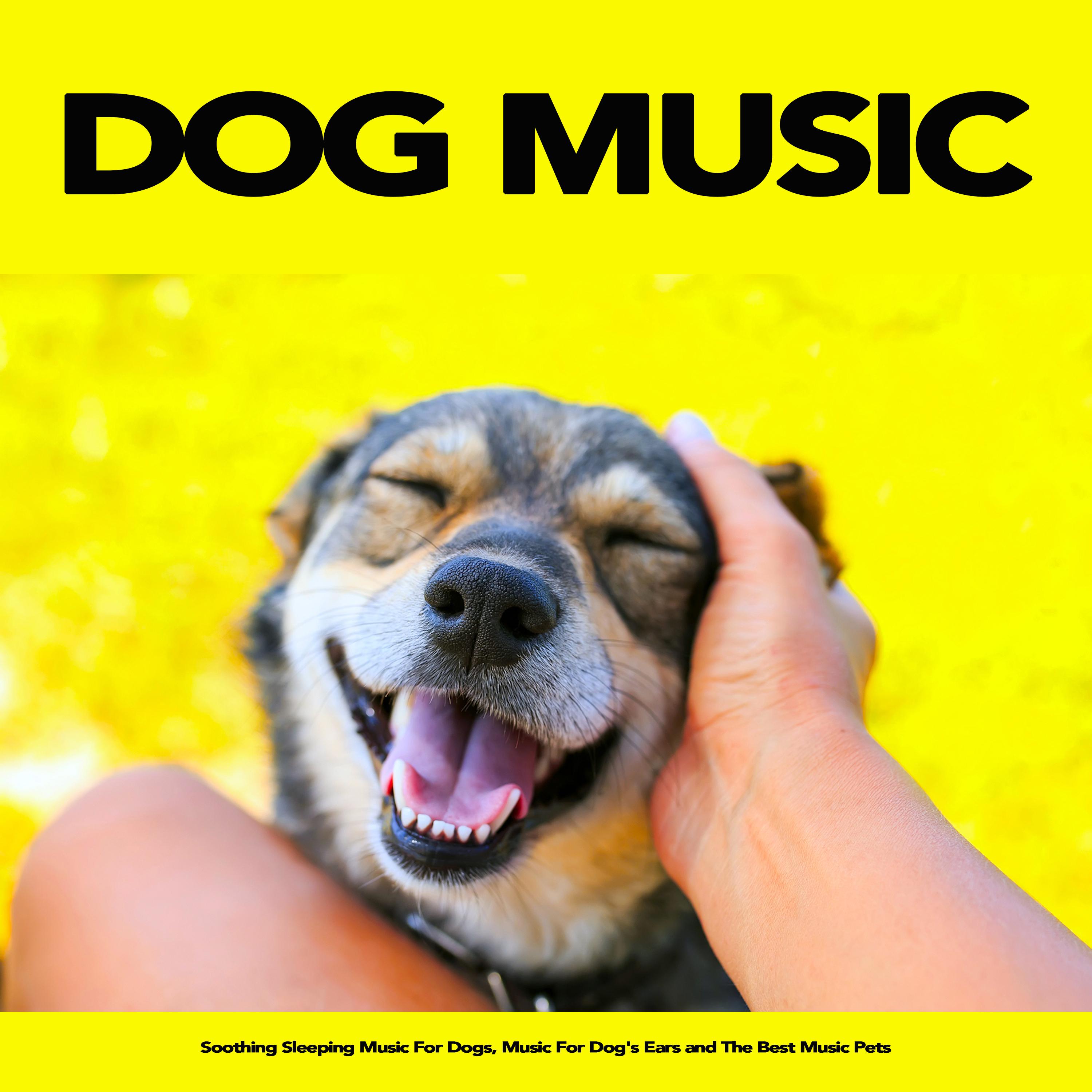 Dog Music: Soothing Sleeping Music For Dogs, Music For Dog's Ears and The Best Music Pets