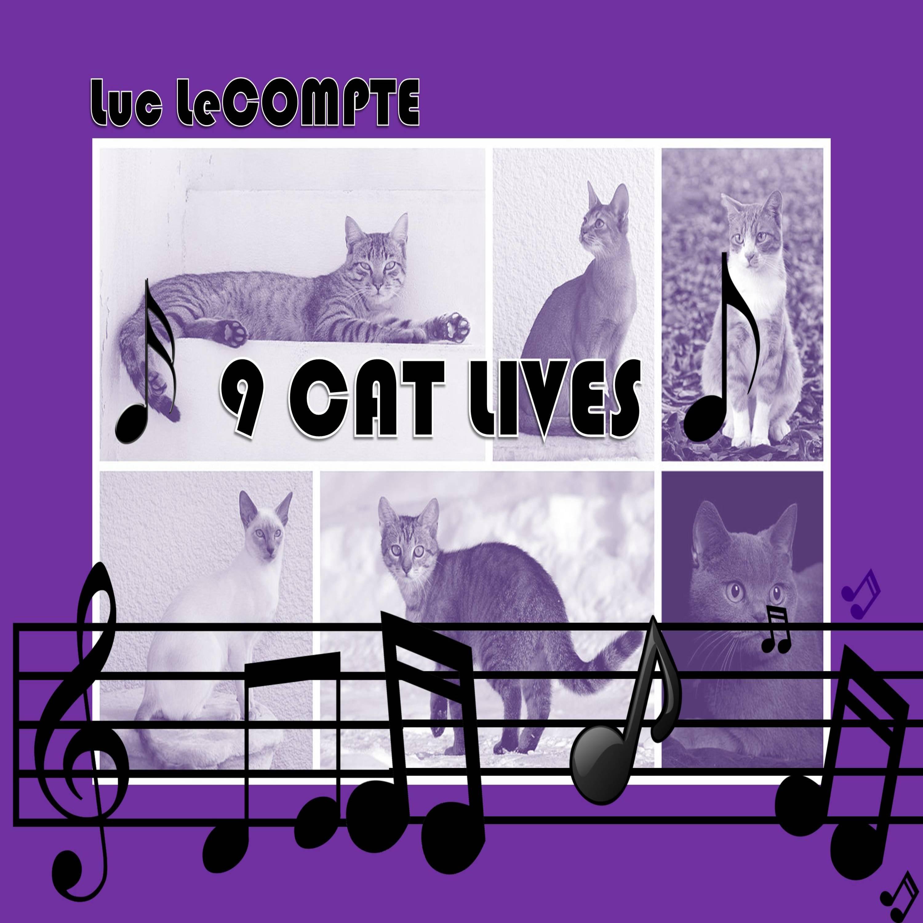 9 Cat Lives